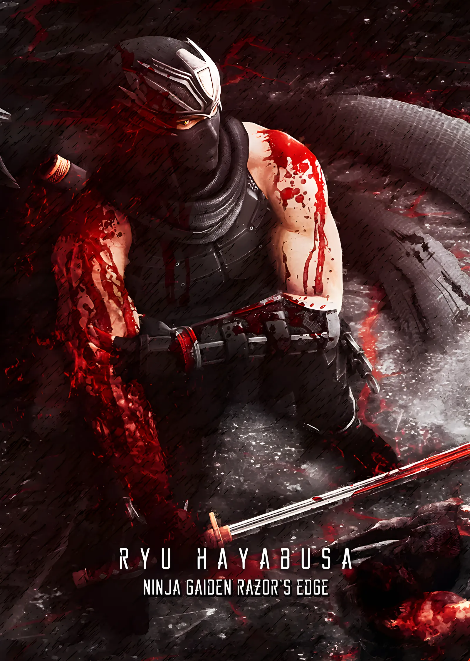 Ryu Hayabusa - Razor's Edge metal tablo
