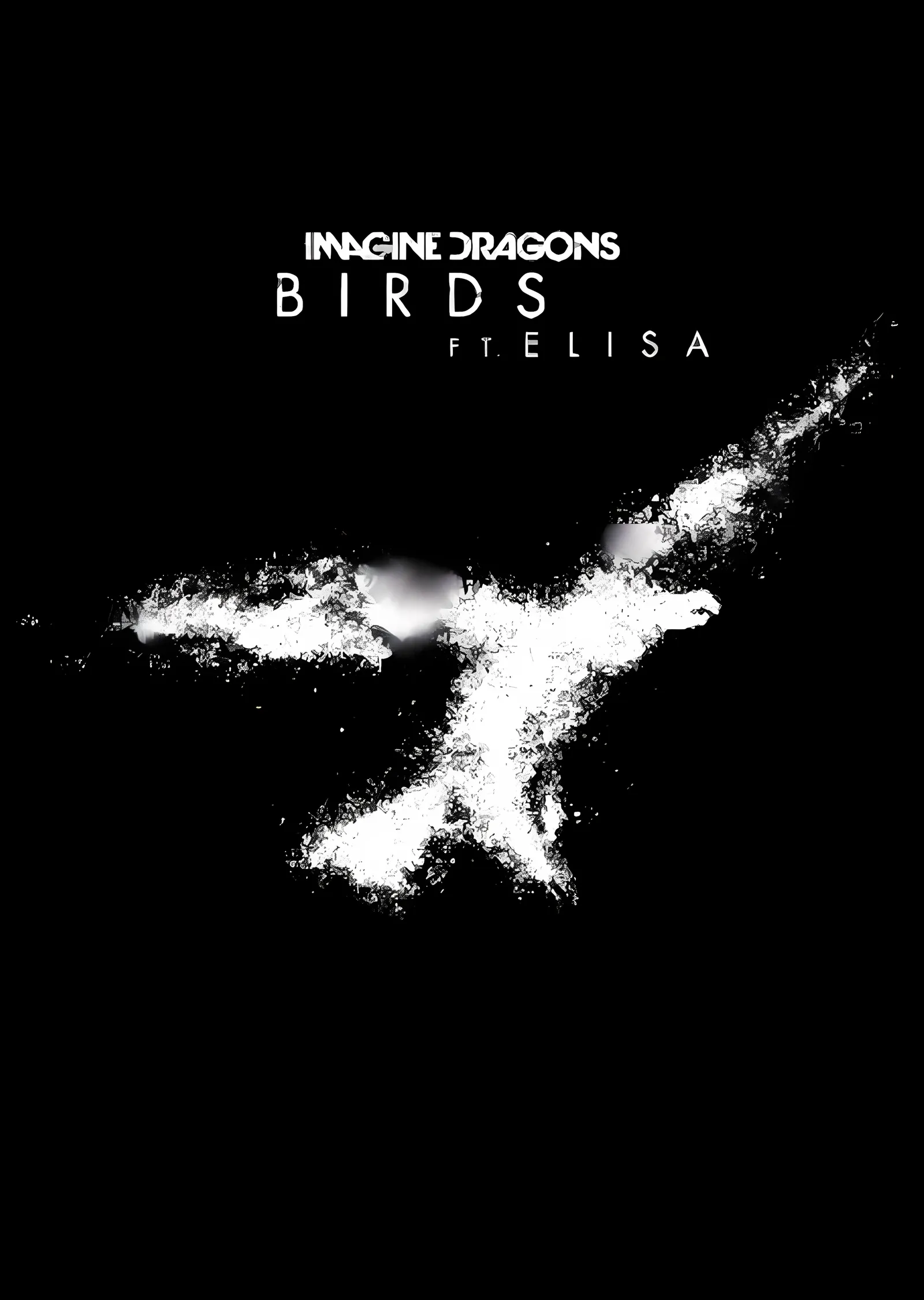Imagine Dragons - Birds Beyaz Kuş metal tablo