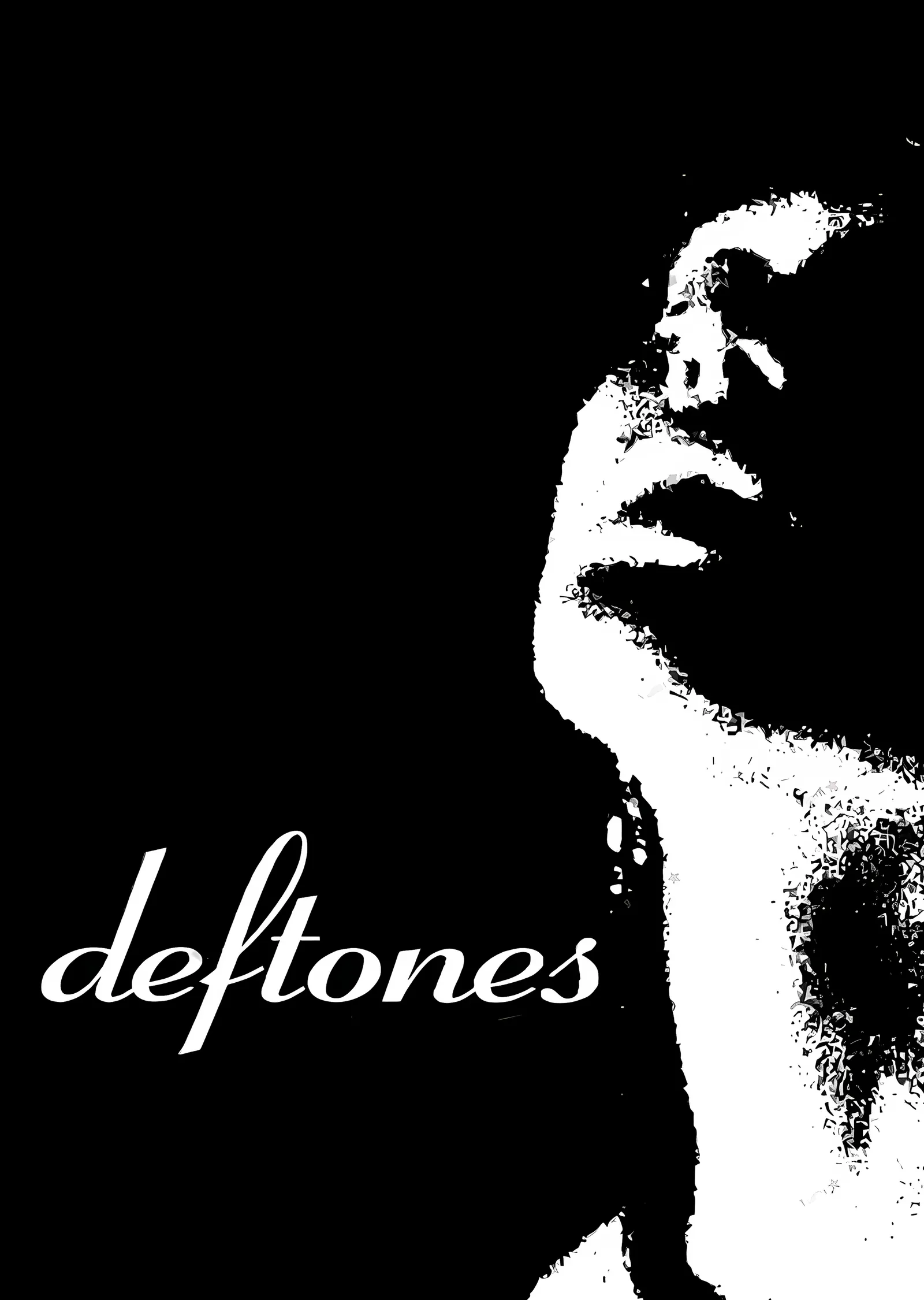 Deftones - Siyah Beyaz Portre metal tablo