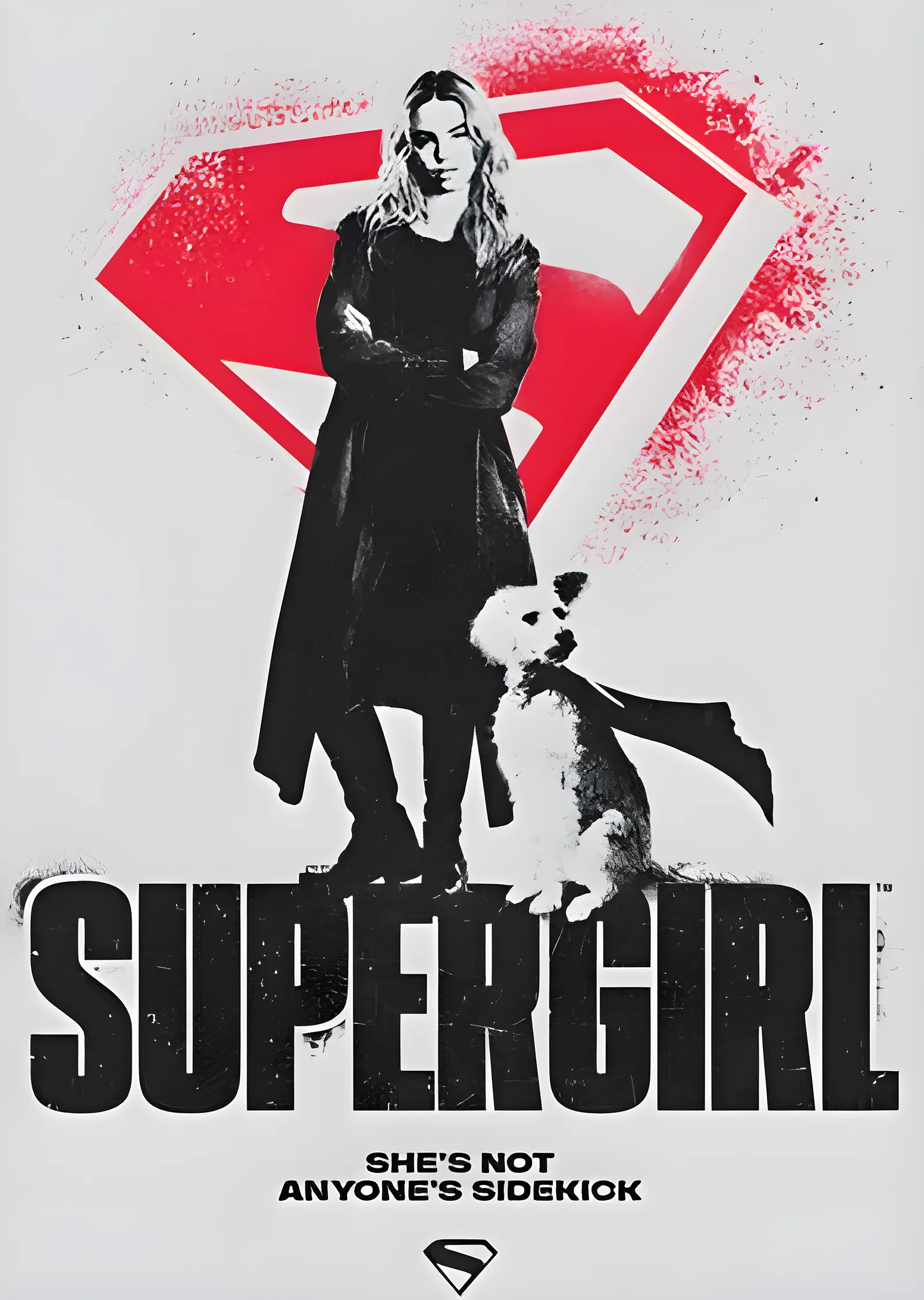 Supergirl: She's Not Anyone's Sidekick metal tablo