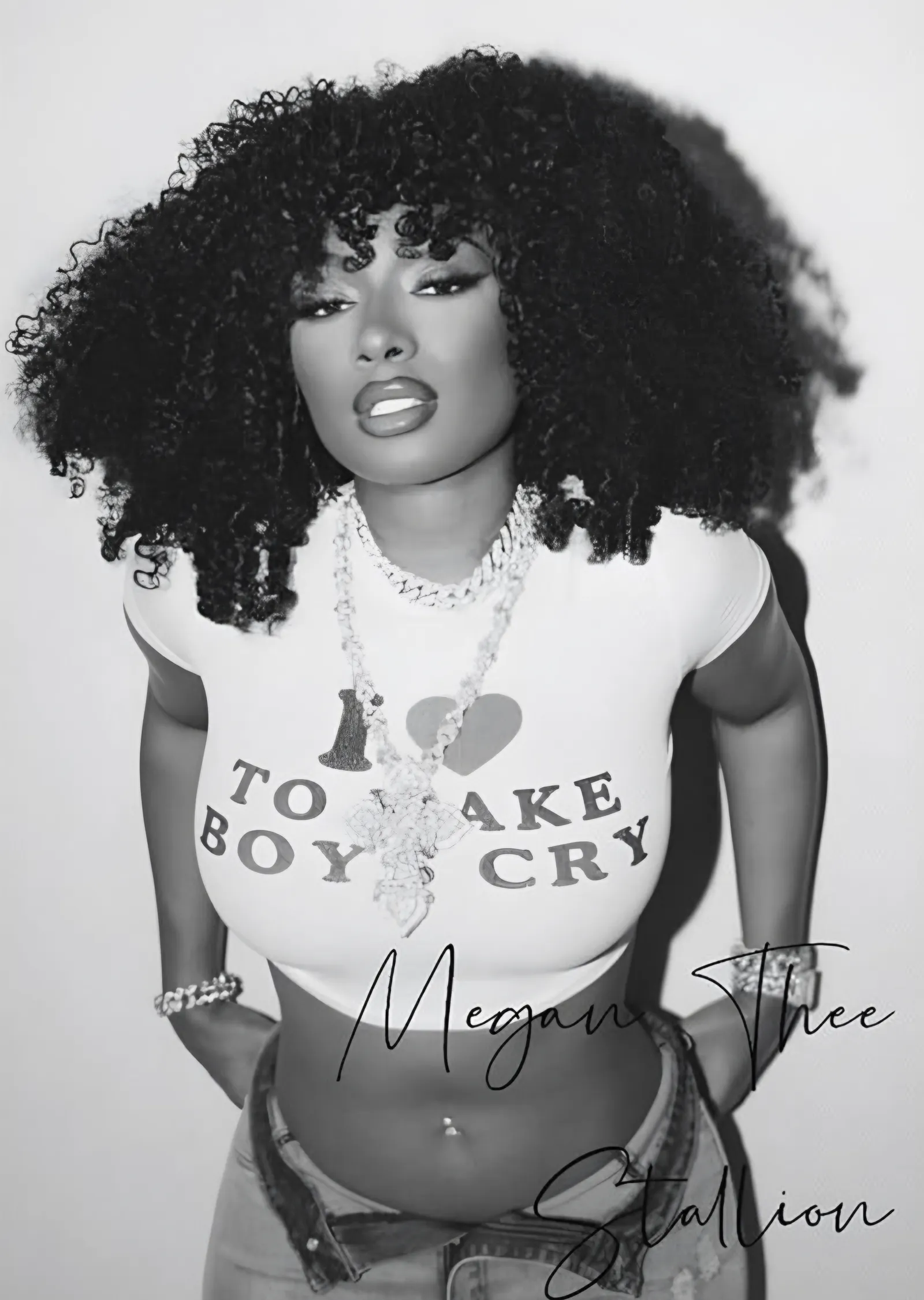 Megan Thee Stallion - Siyah Beyaz Poz metal tablo