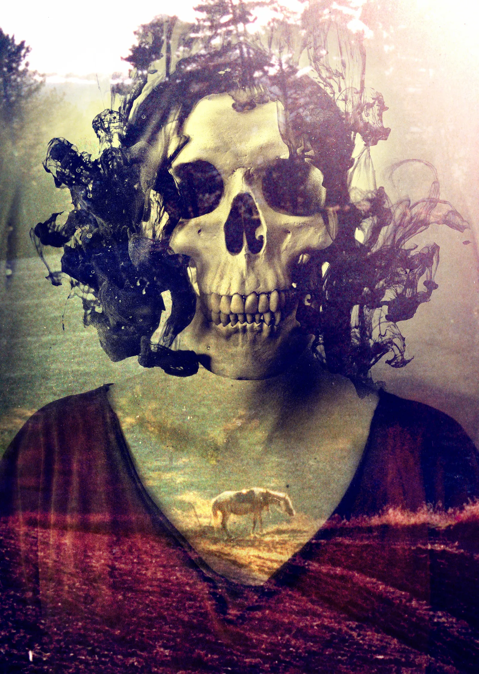 Miss Skull metal tablo