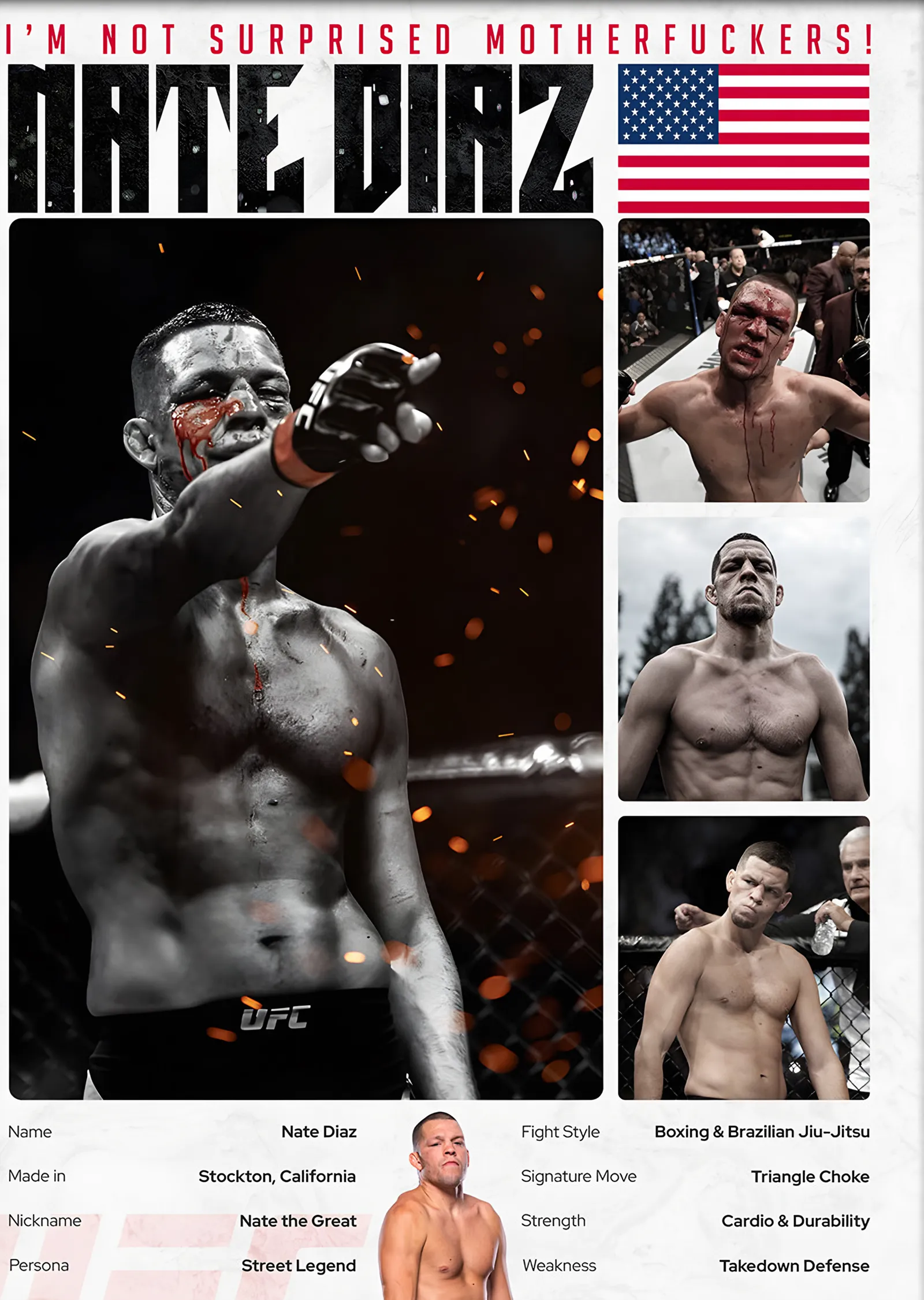 Nate Diaz Stockton metal tablo