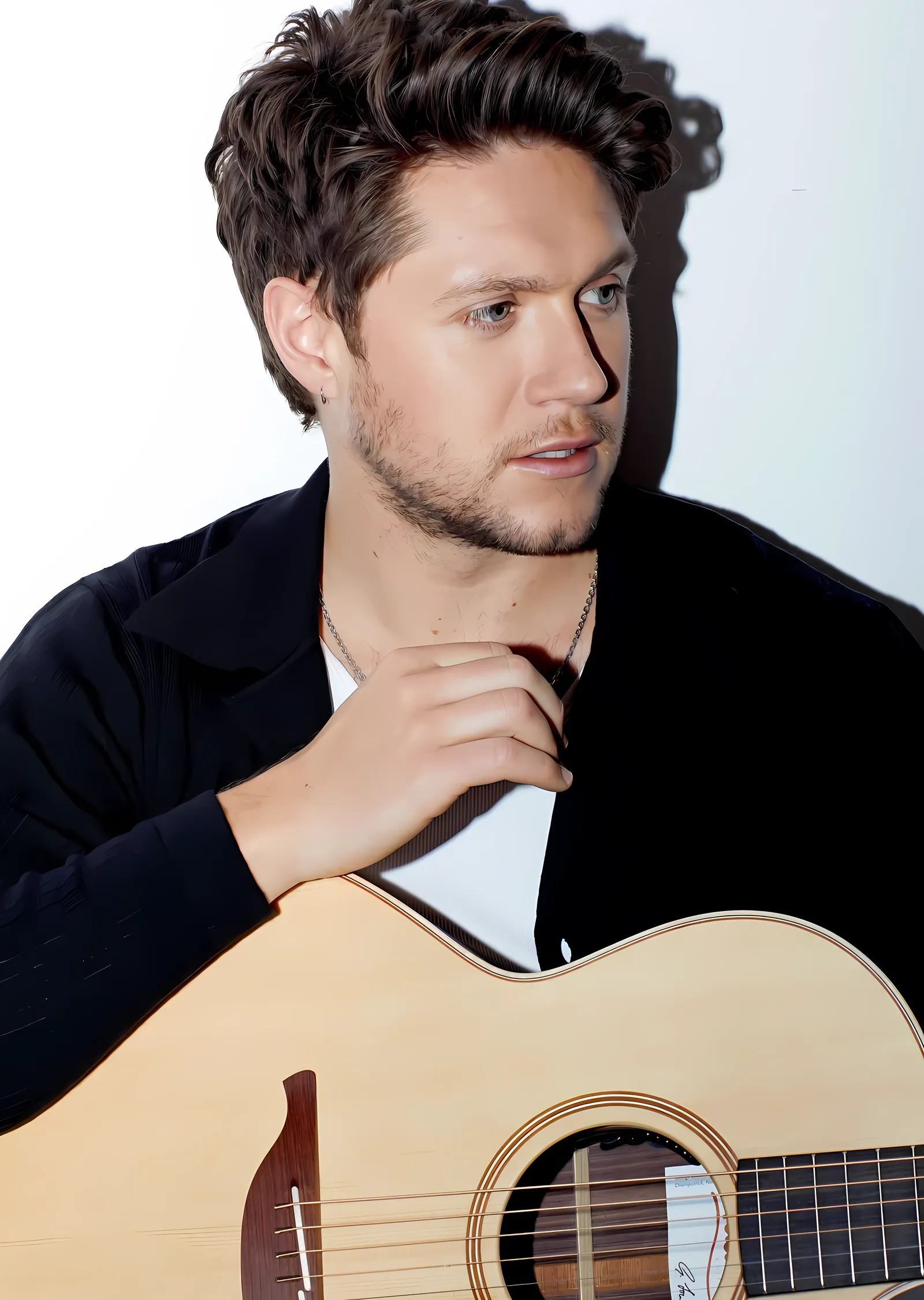Niall Horan: Akustik Gitarla metal tablo