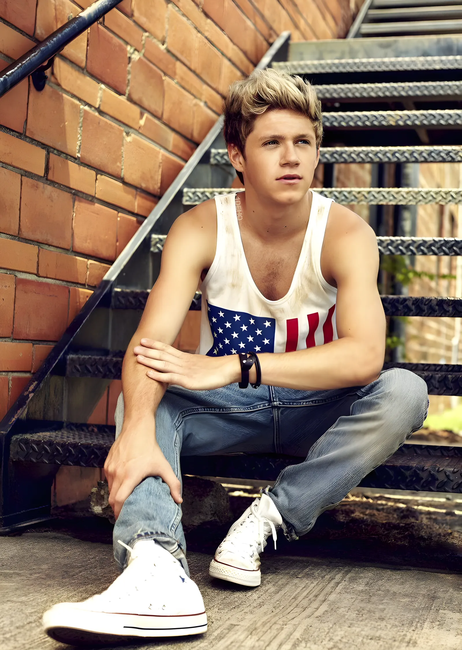 Niall Horan: Merdiven Basamağında metal tablo