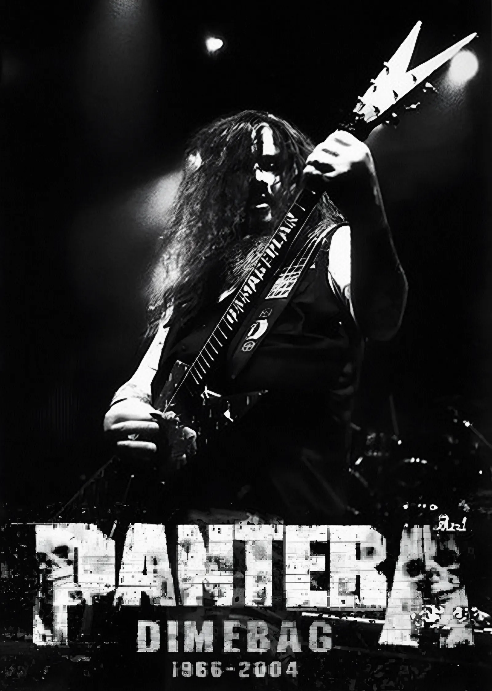 Pantera: Dimebag 1966-2004 metal tablo