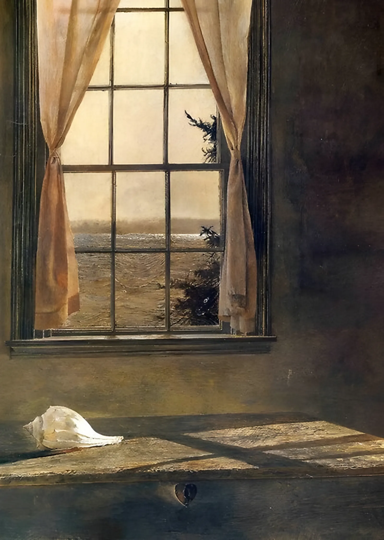 Pencere ve Deniz Kabuğu - Andrew Wyeth metal tablo