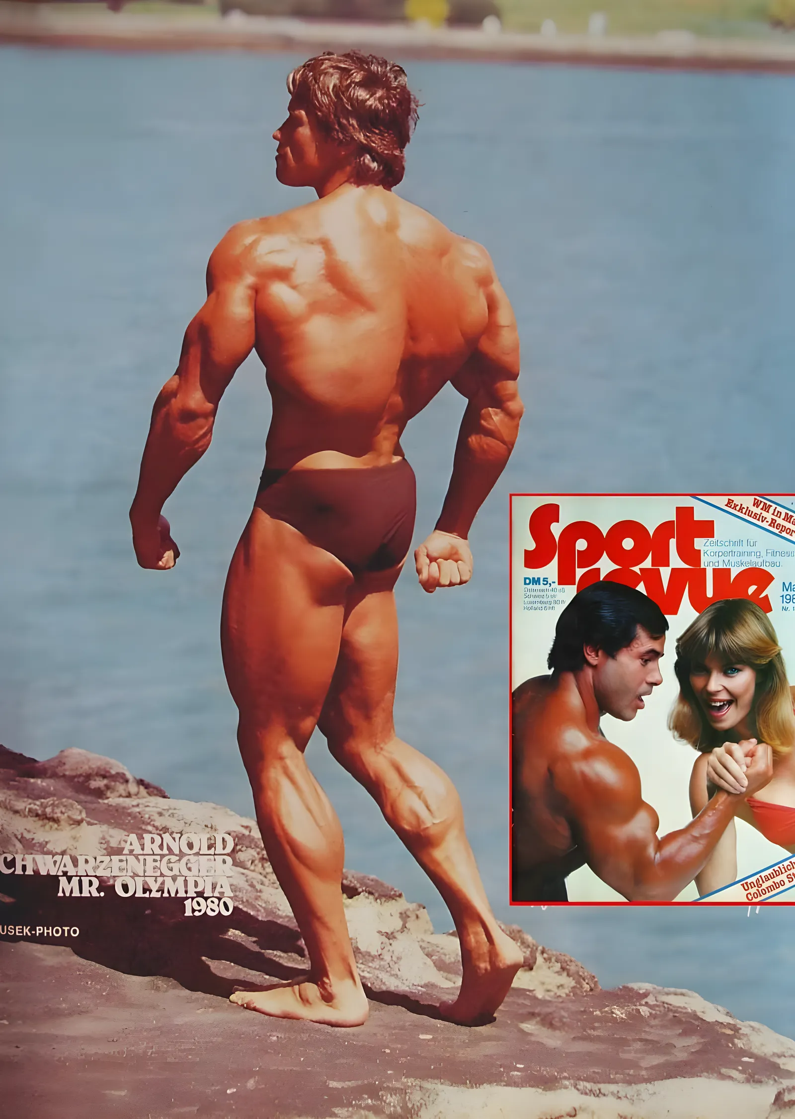 Arnold Schwarzenegger: Mr. Olympia 1980 metal tablo