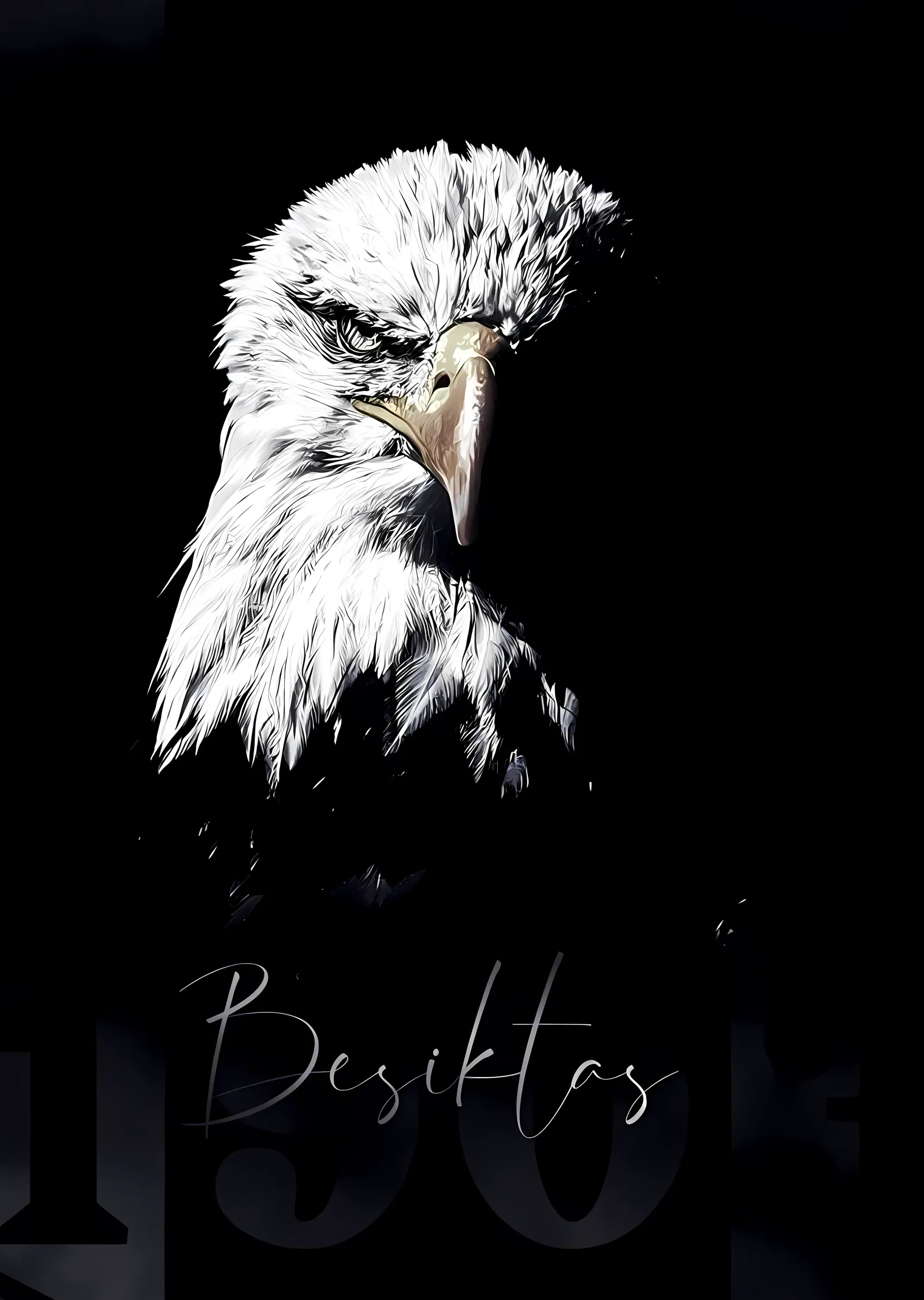 Beşiktaş: Kartalın Bakışı metal tablo