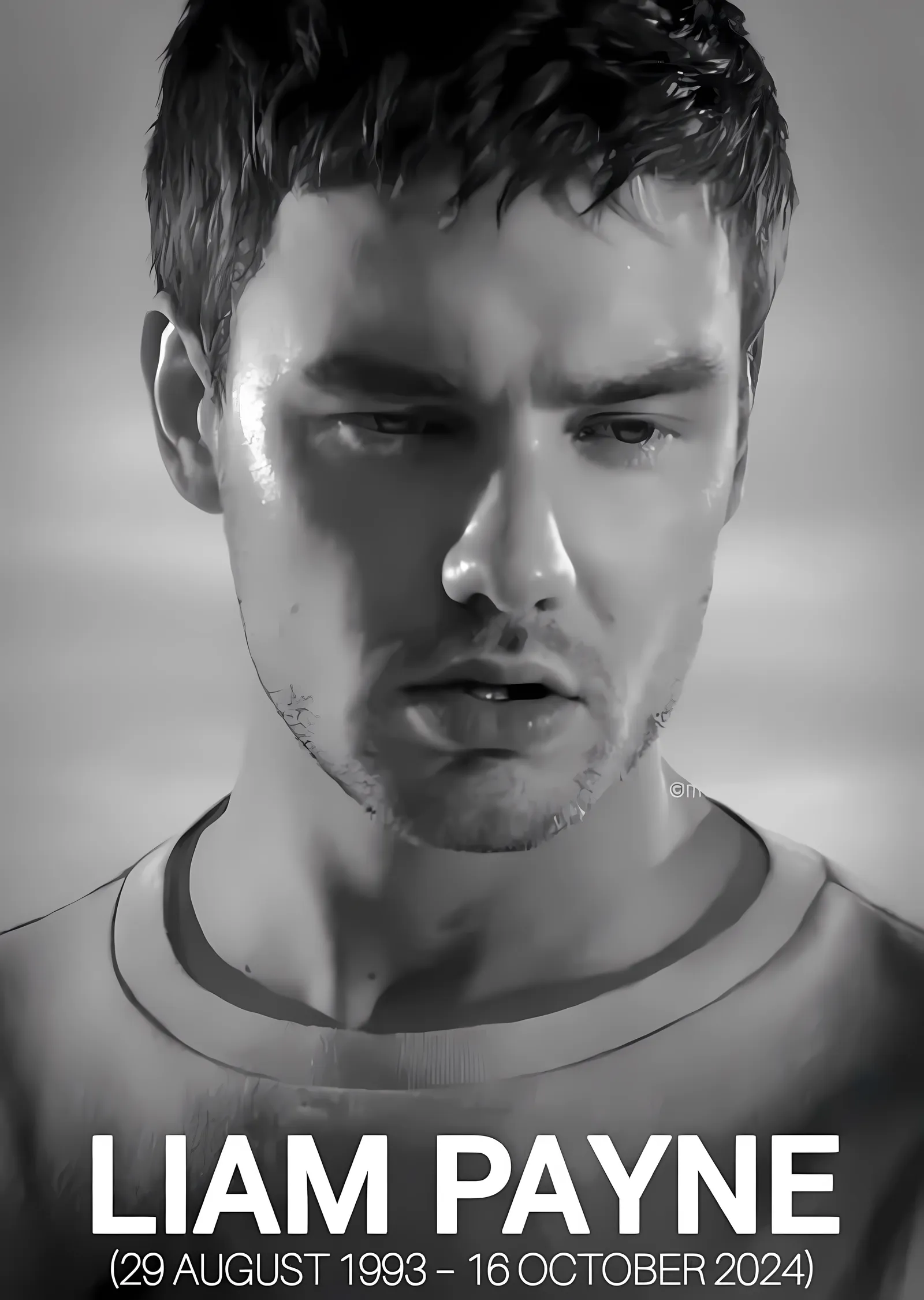 Liam Payne: 1993 - 2024 metal tablo