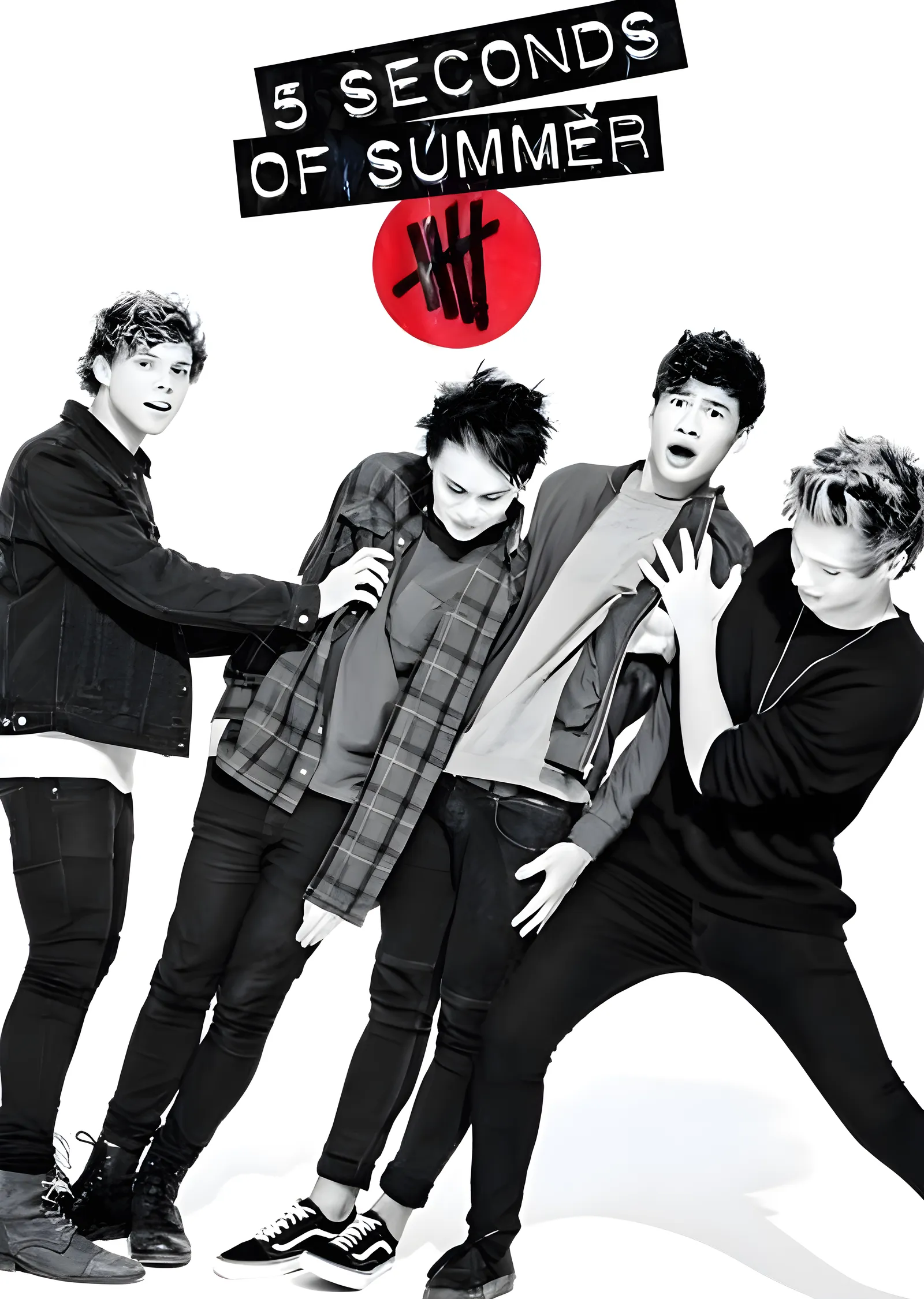 5 Seconds of Summer - Siyah Beyaz Grup Karesi metal tablo