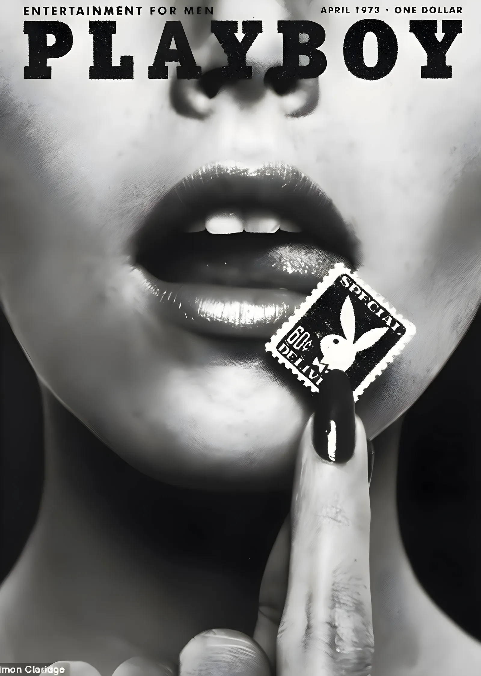 Playboy: April 1973 Cover metal tablo