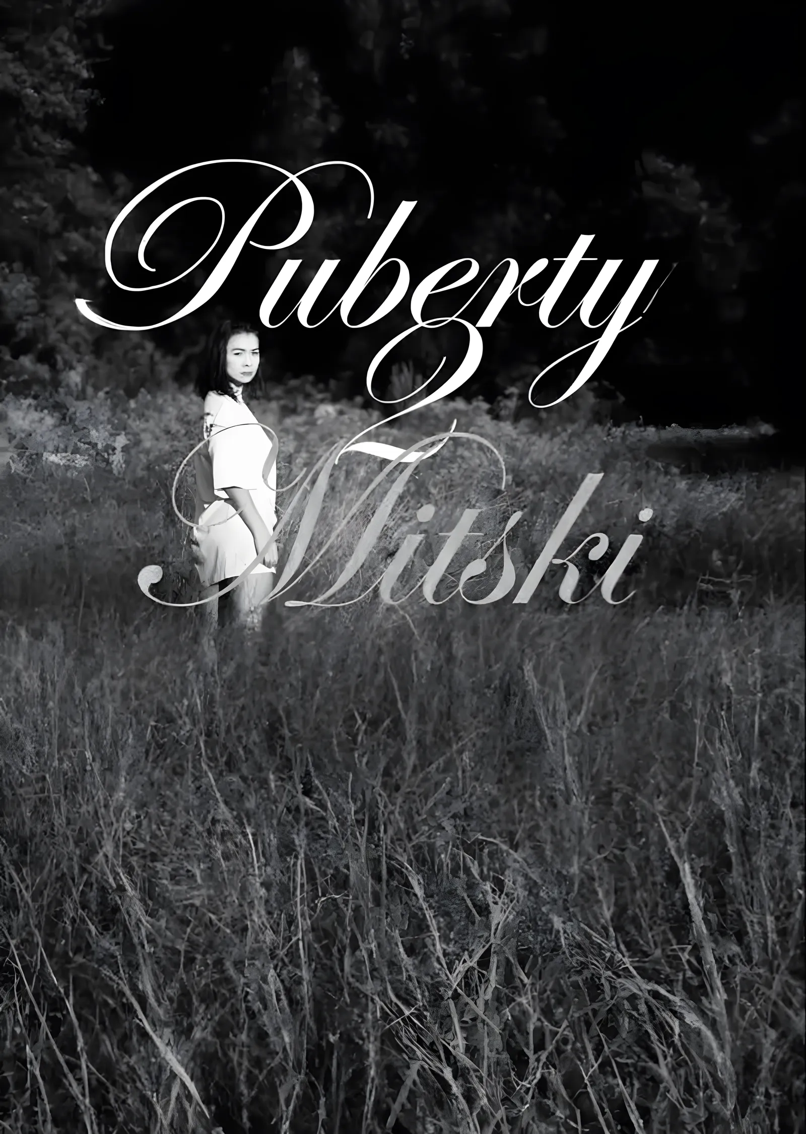 Mitski: Puberty 2 metal tablo