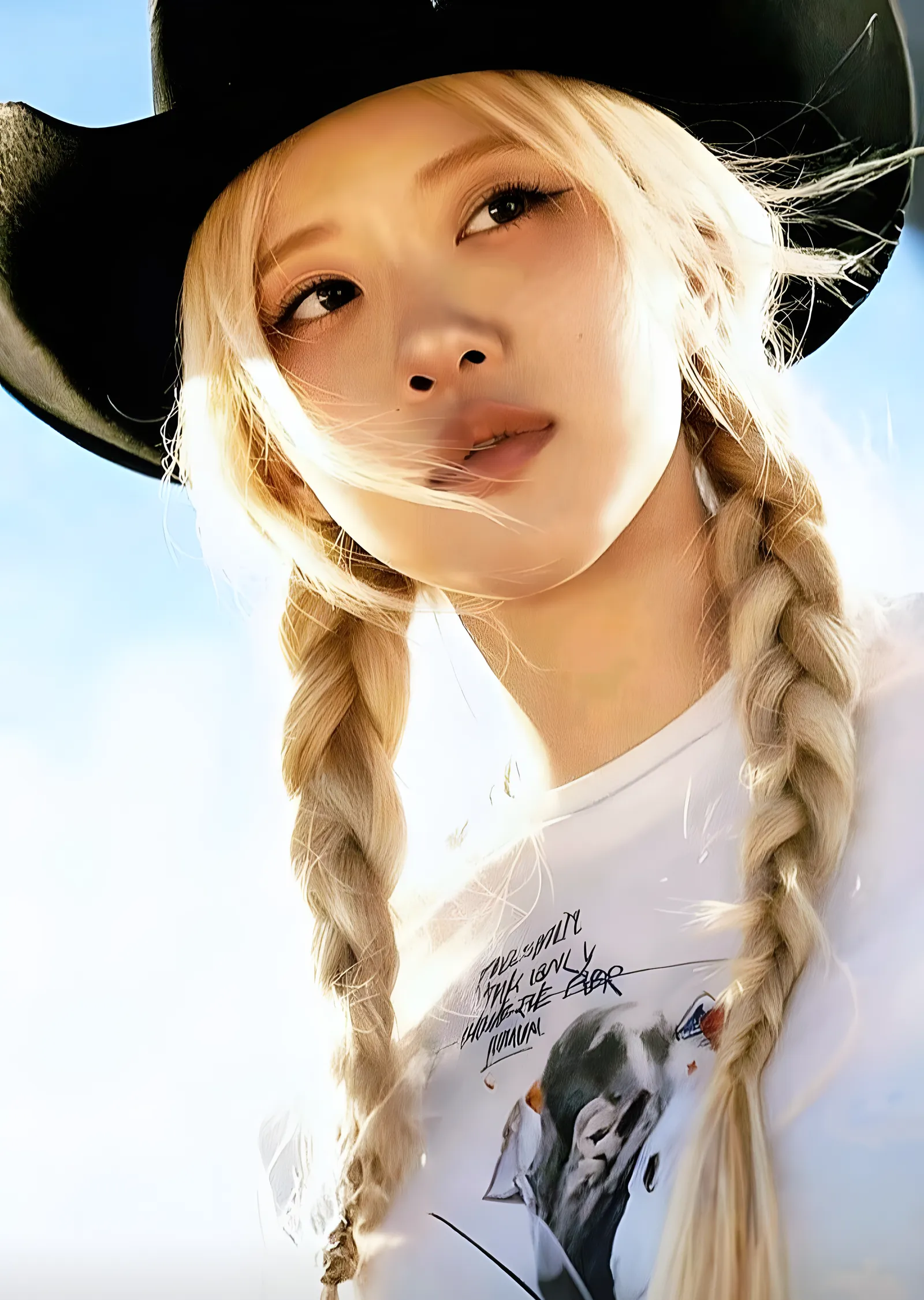 Rosé metal tablo
