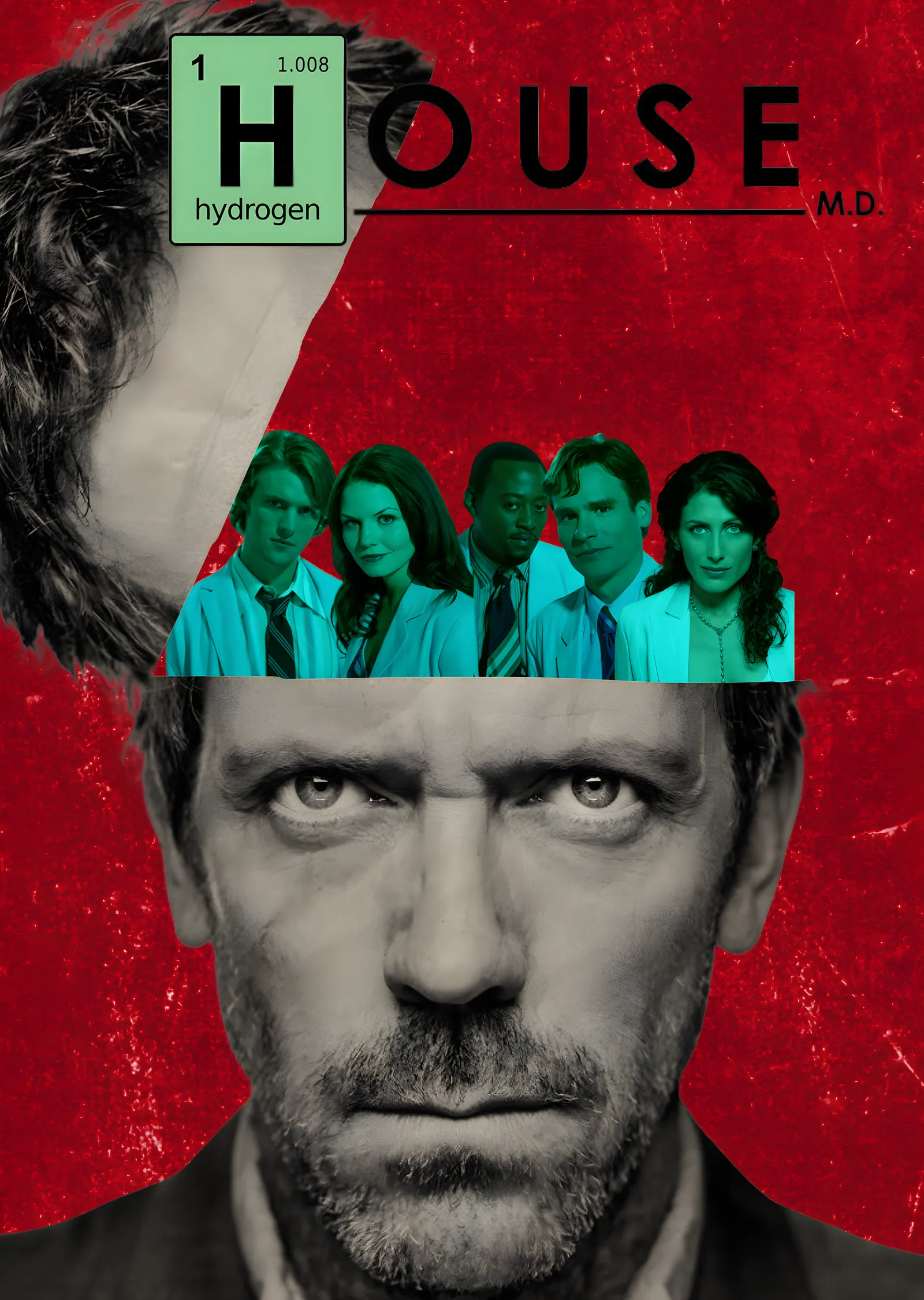 House M.D.: Dr. Gregory House'un İkonik metal tablo