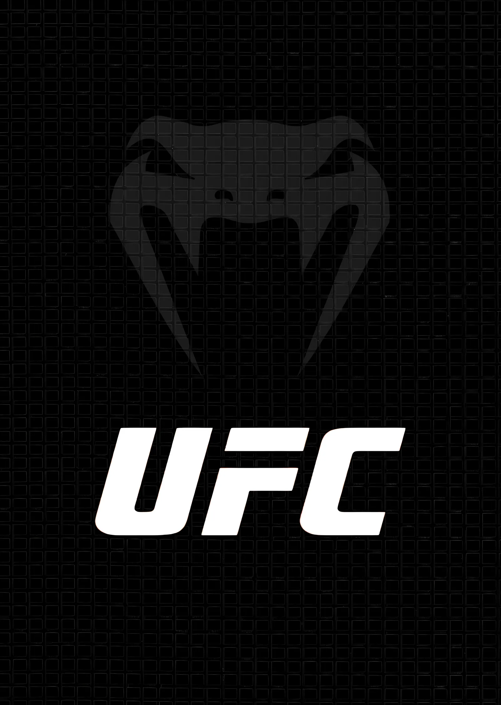 UFC Kafes Dokusu metal tablo