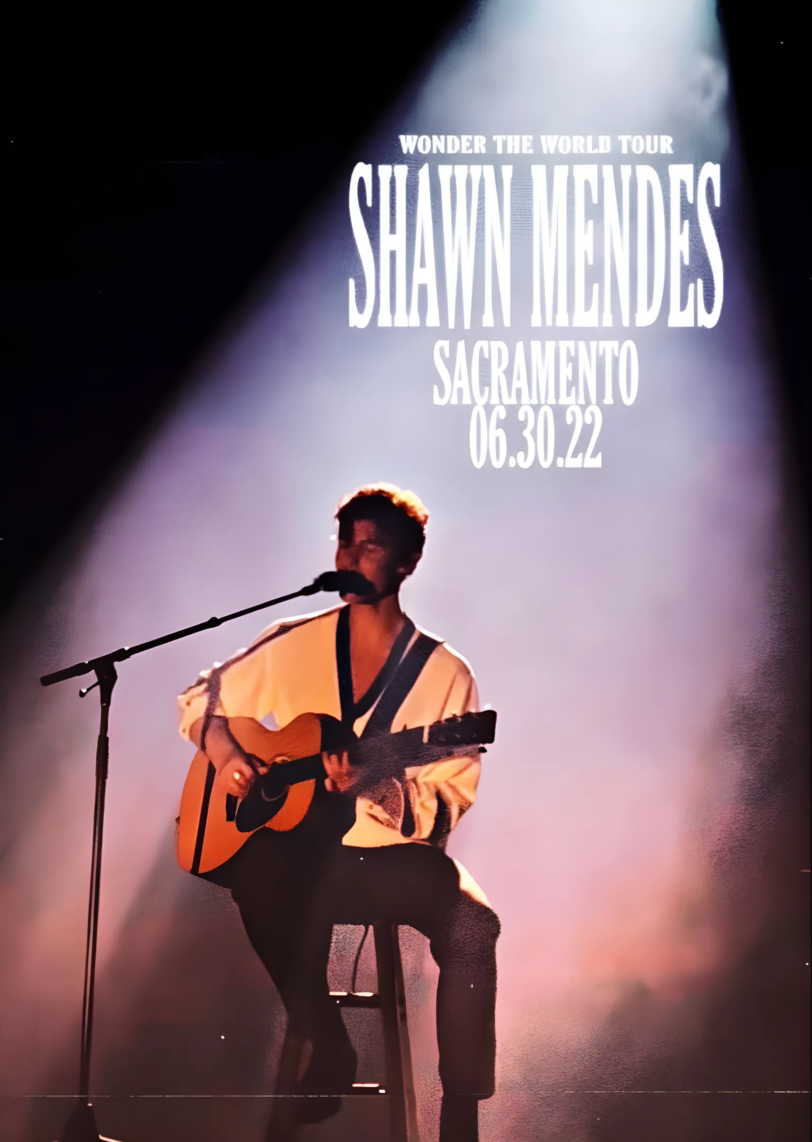 Shawn Mendes: Wonder World Tour metal tablo