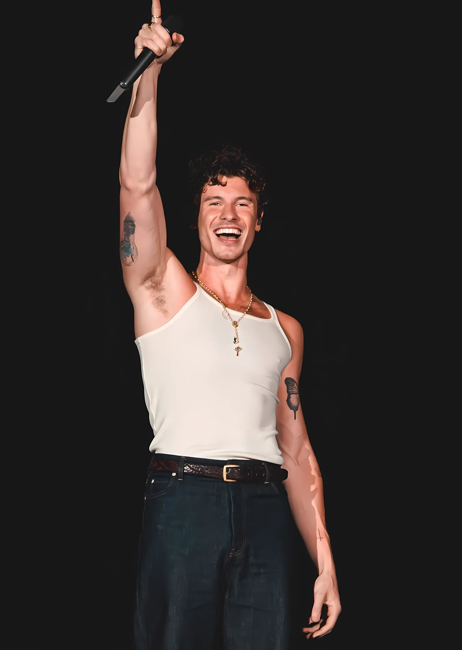 Shawn Mendes: Rock in Rio 2024 metal tablo