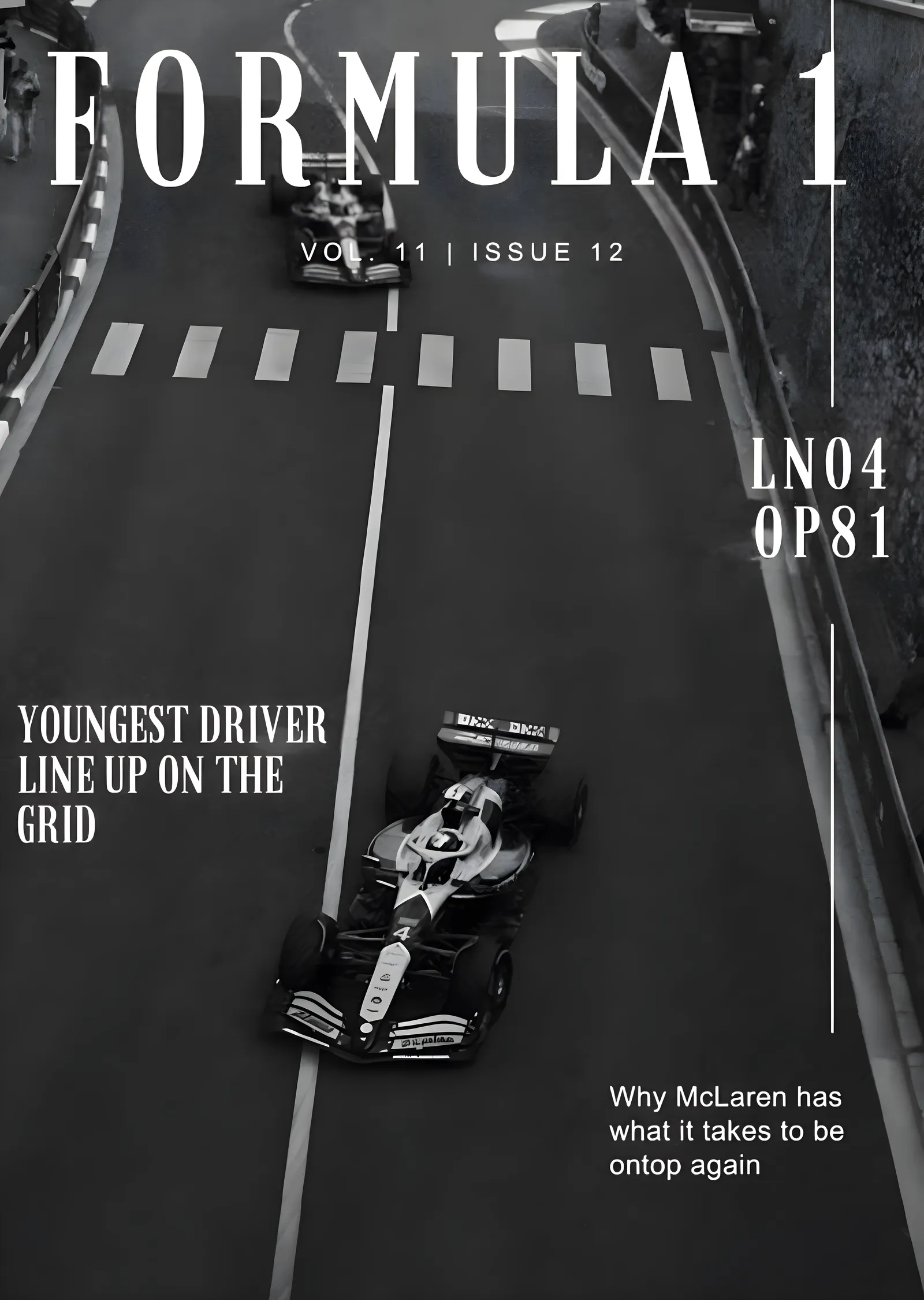 Formula 1: En Genç Pilot Kadrosu metal tablo