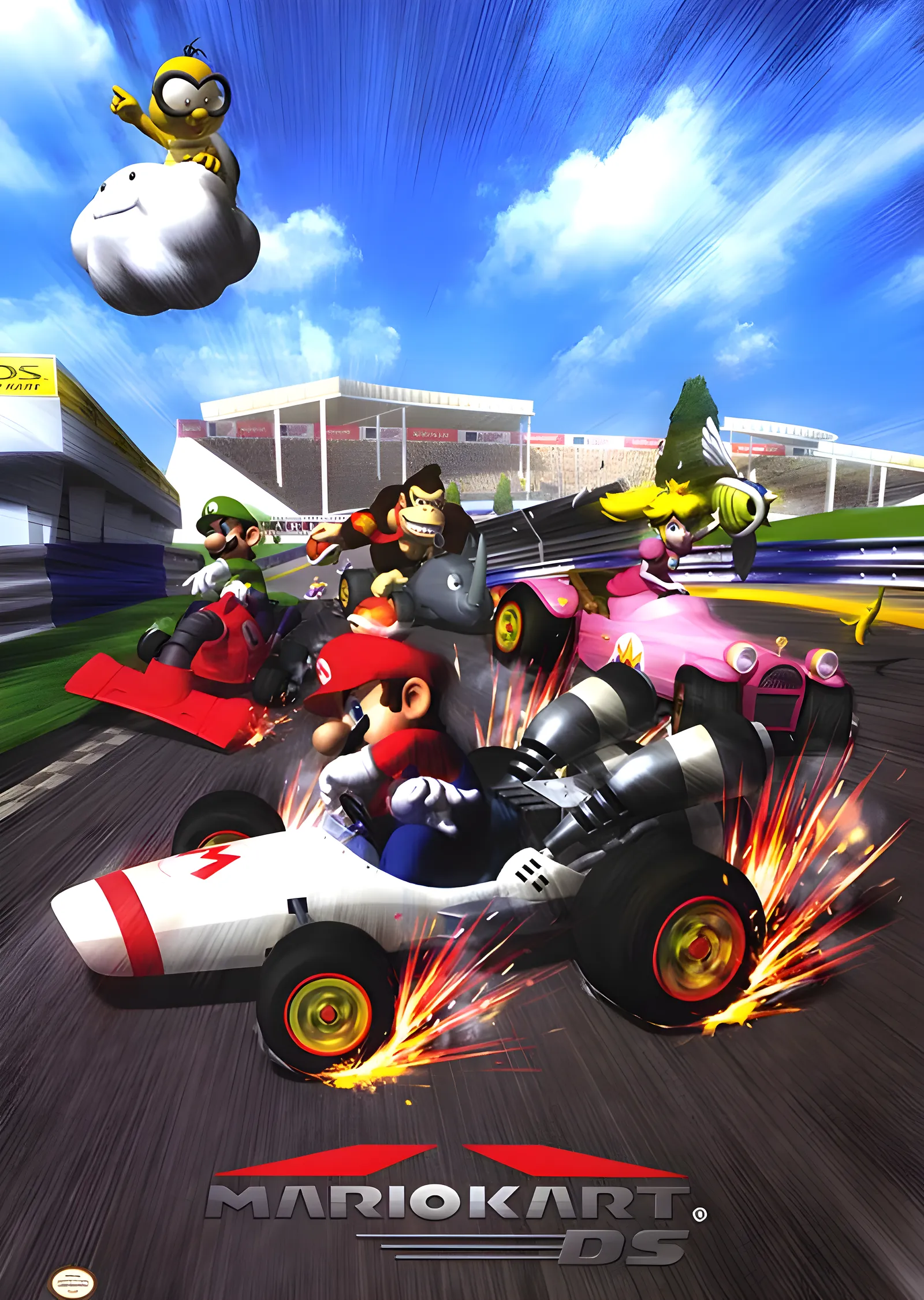 Mario Kart DS: Yarış Heyecanı metal tablo
