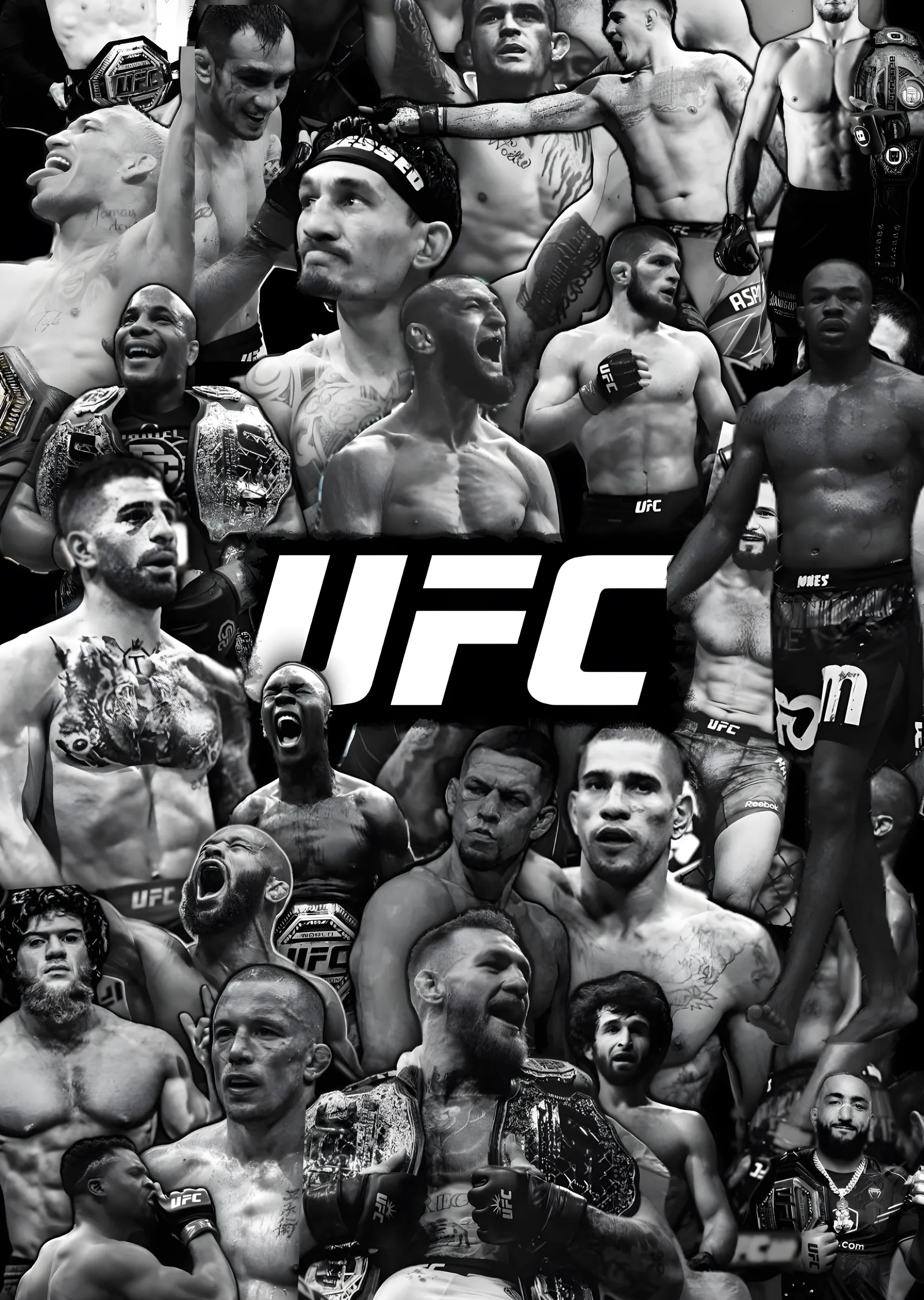 UFC Şampiyonlar Duvarı metal tablo