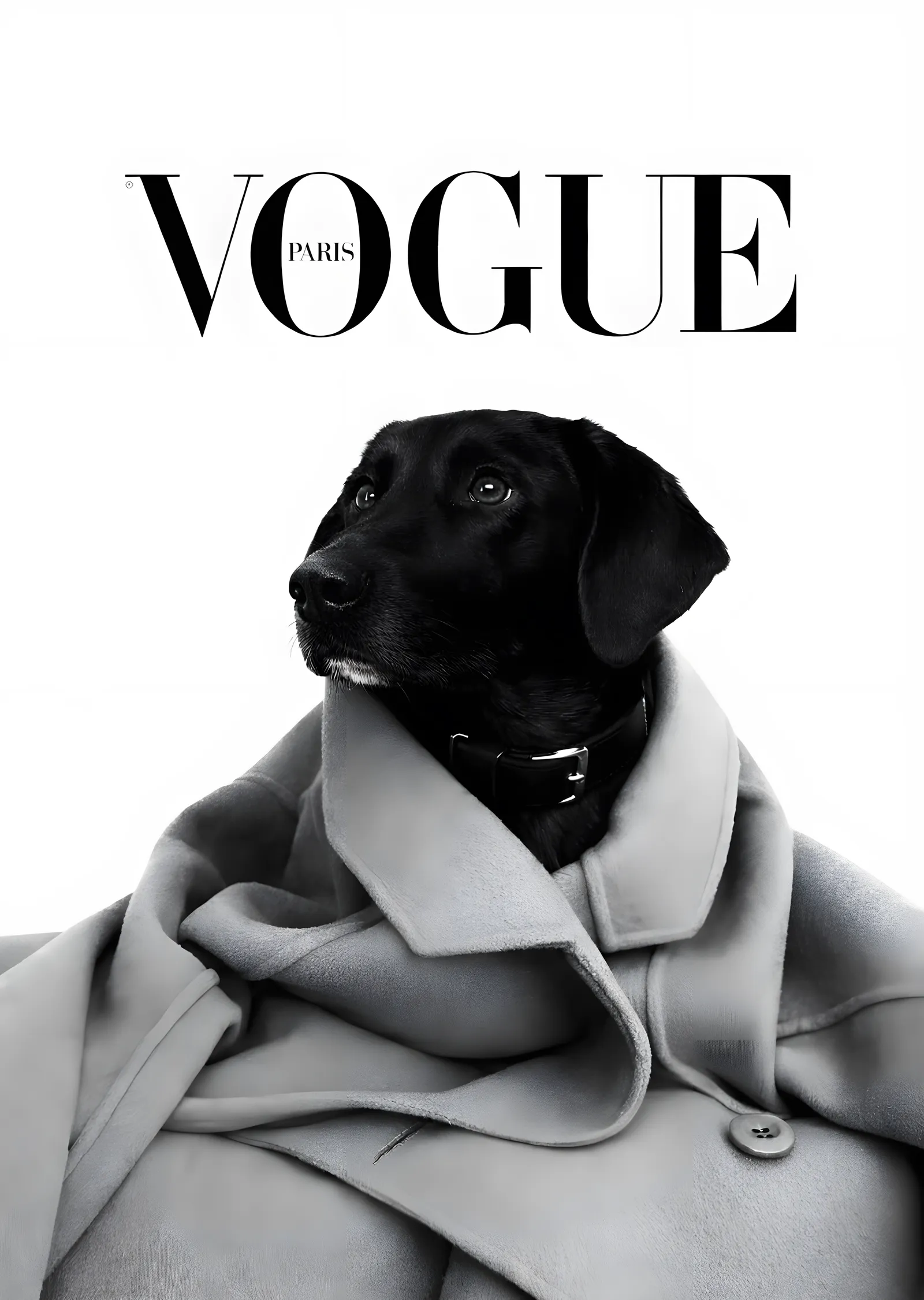 Vogue Paris: Kıyafetli Köpek Kapağı metal tablo