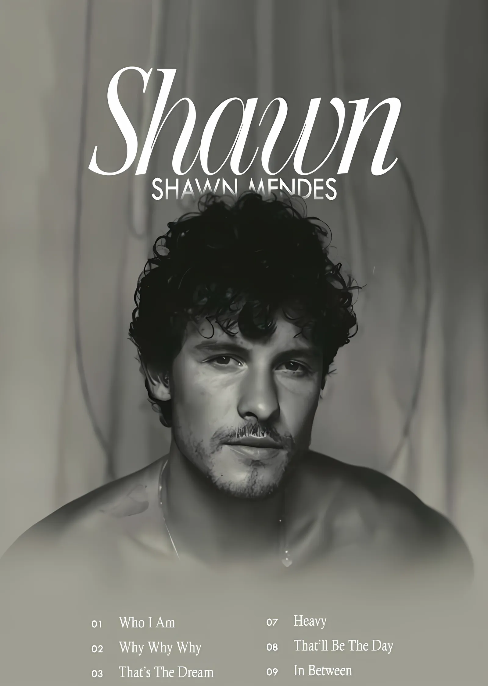 Shawn Mendes: Shawn metal tablo