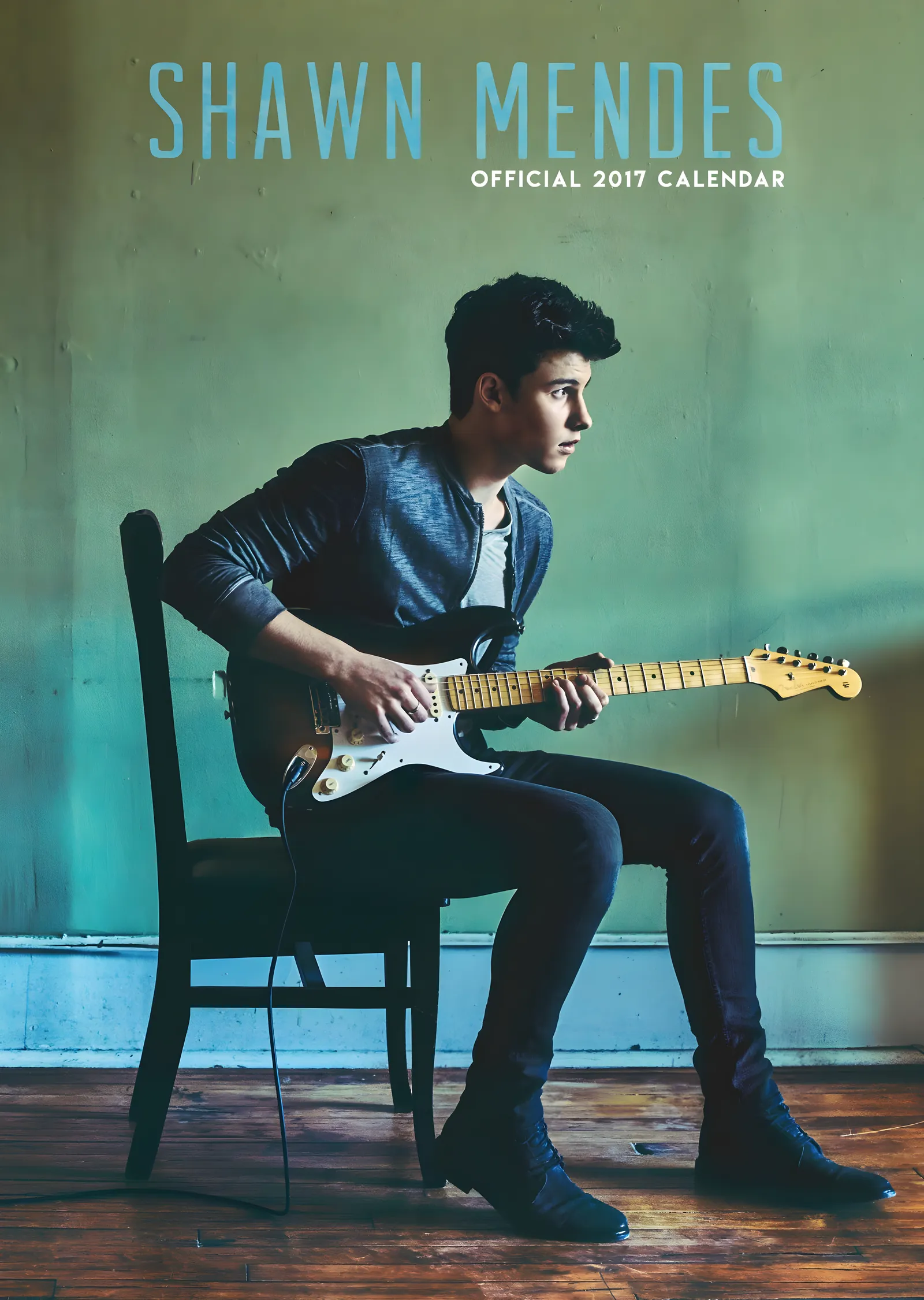 Shawn Mendes: Illuminate metal tablo