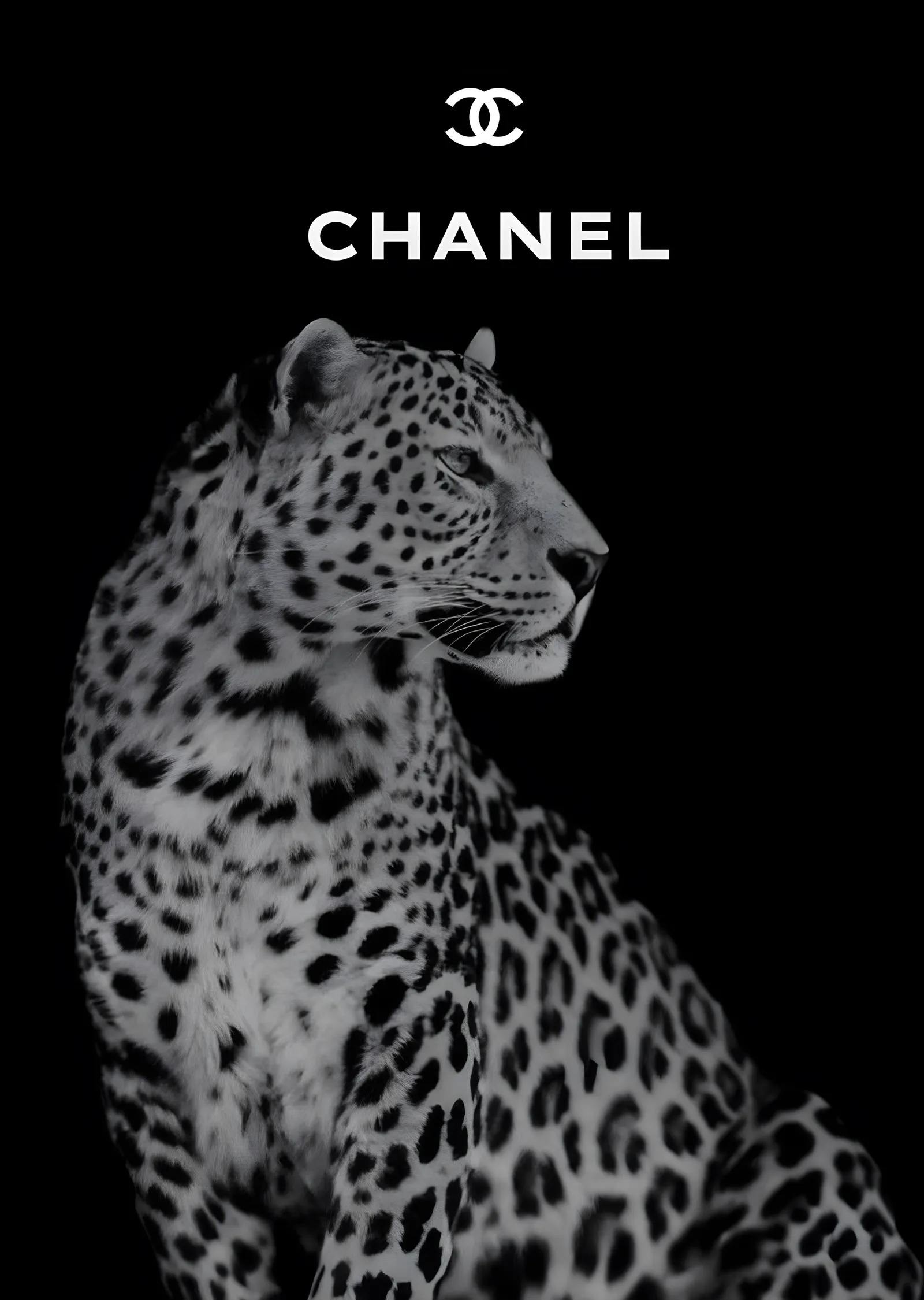 Chanel: Leopar Zarafeti metal tablo