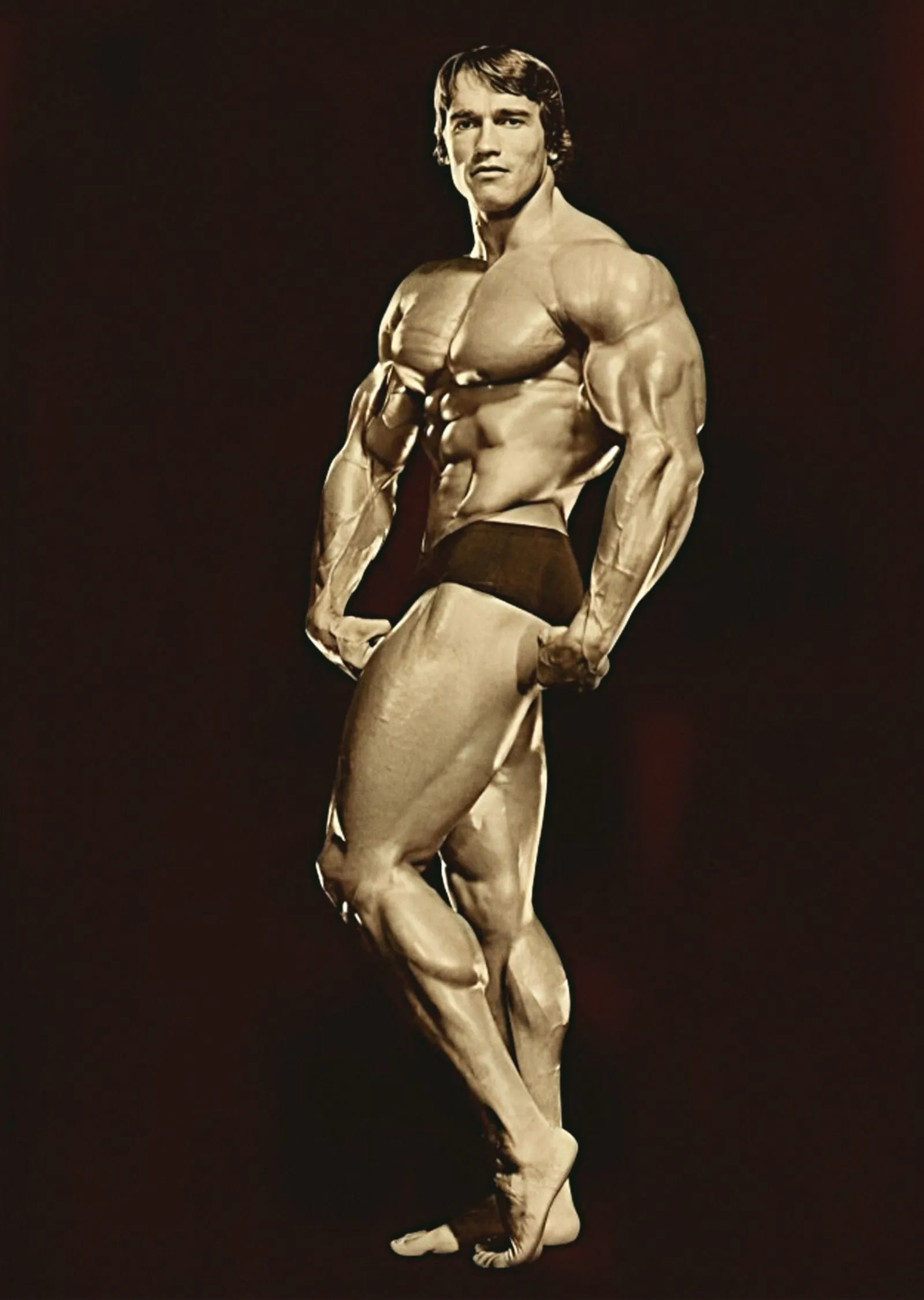 Arnold Schwarzenegger: Altın Poz metal tablo