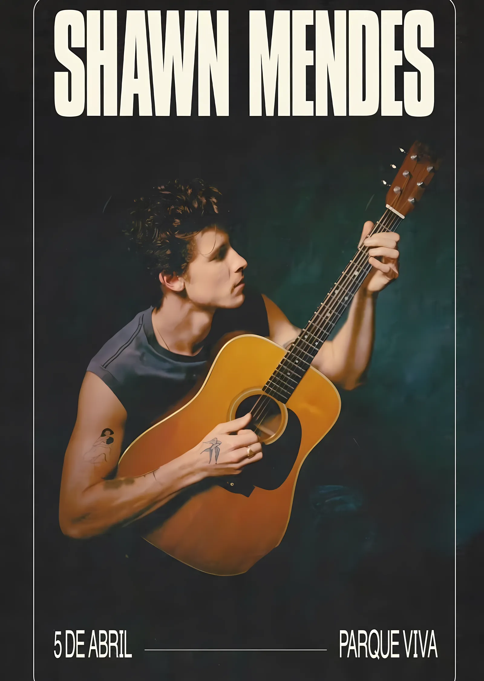 Shawn Mendes: Parque Viva metal tablo