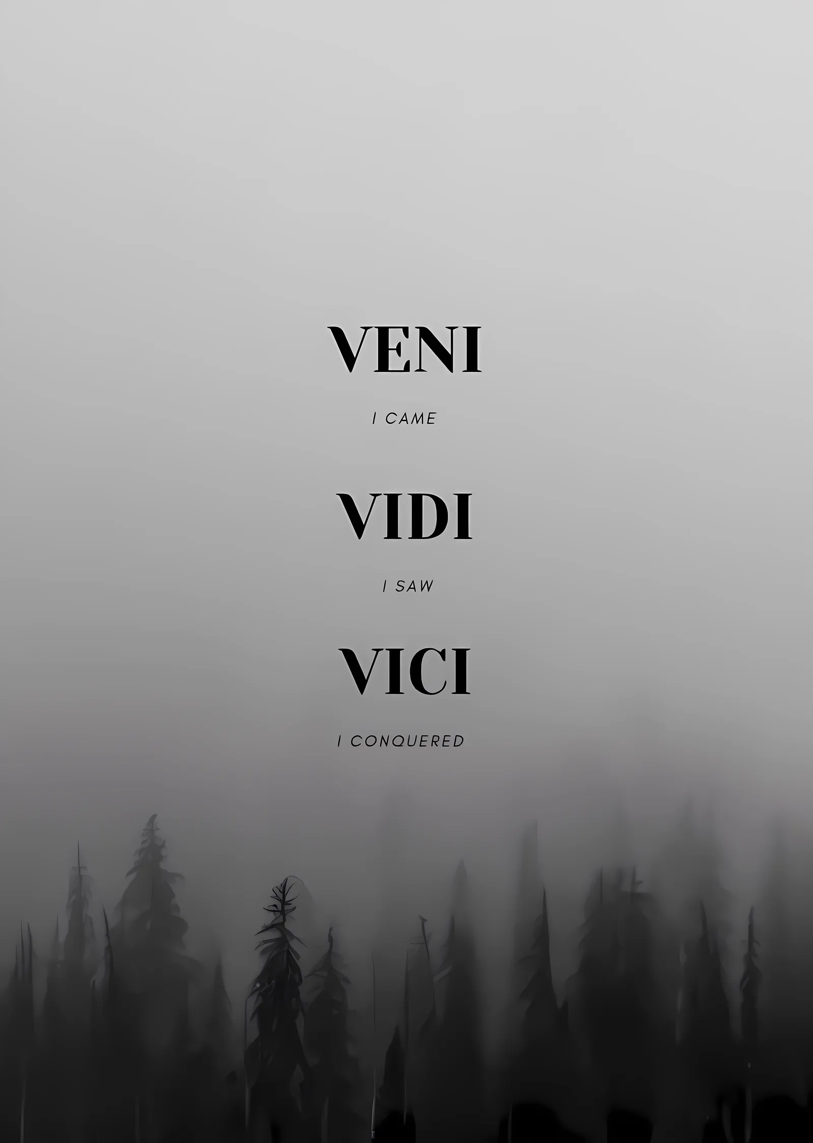 Veni Vidi Vici: Kavgaya Hazır metal tablo