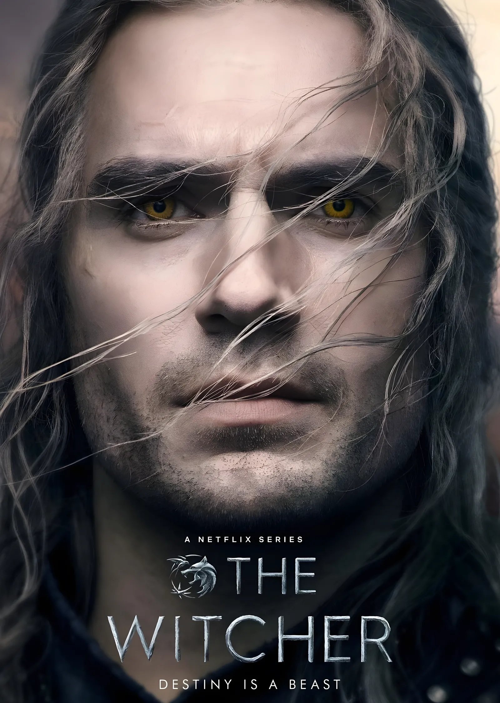 The Witcher: Netflix Portre metal tablo