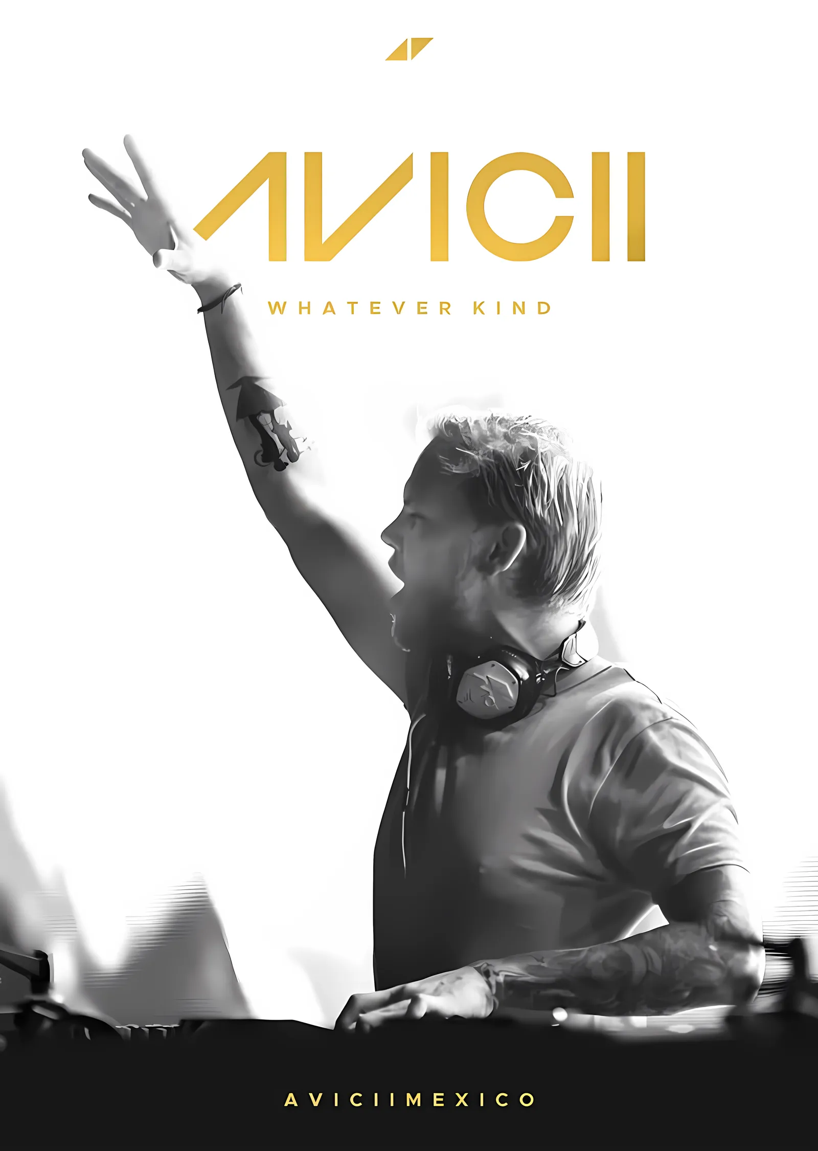Avicii: Whatever Kind metal tablo