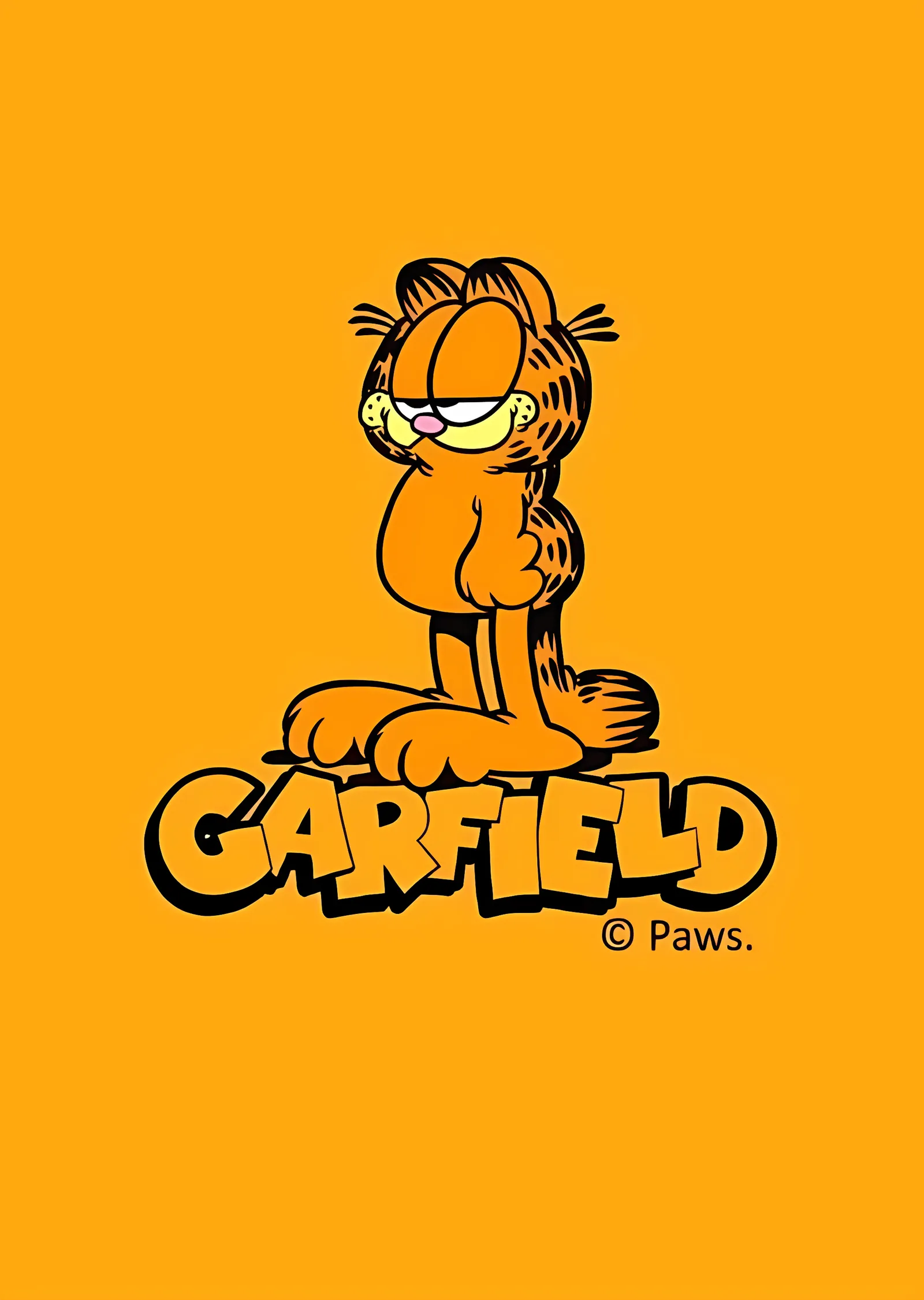 Garfield: Turuncu Zemin metal tablo