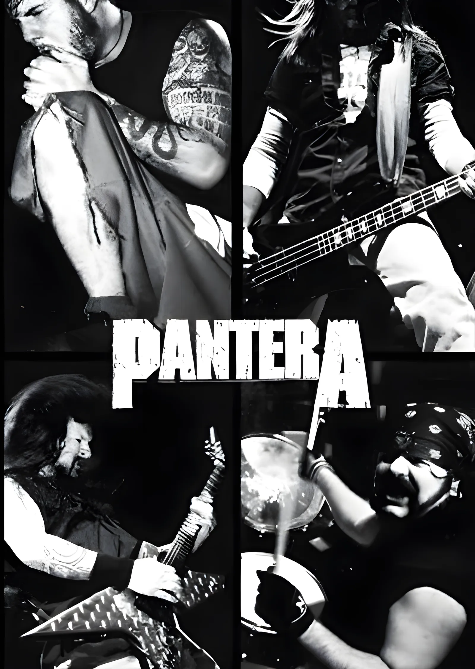 Pantera: Sahne Kolajı metal tablo