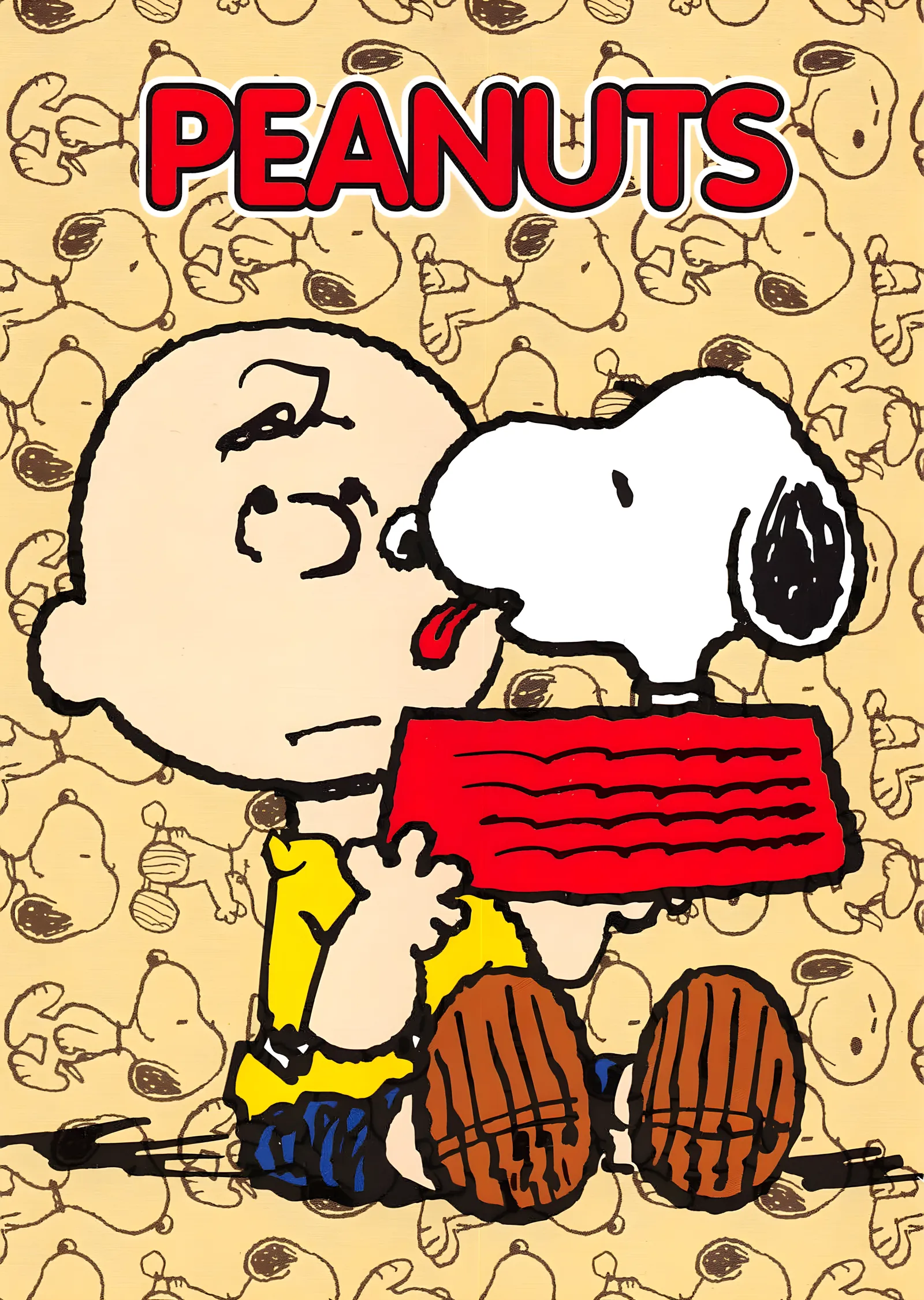 Peanuts - Charlie Brown ve Snoopy metal tablo