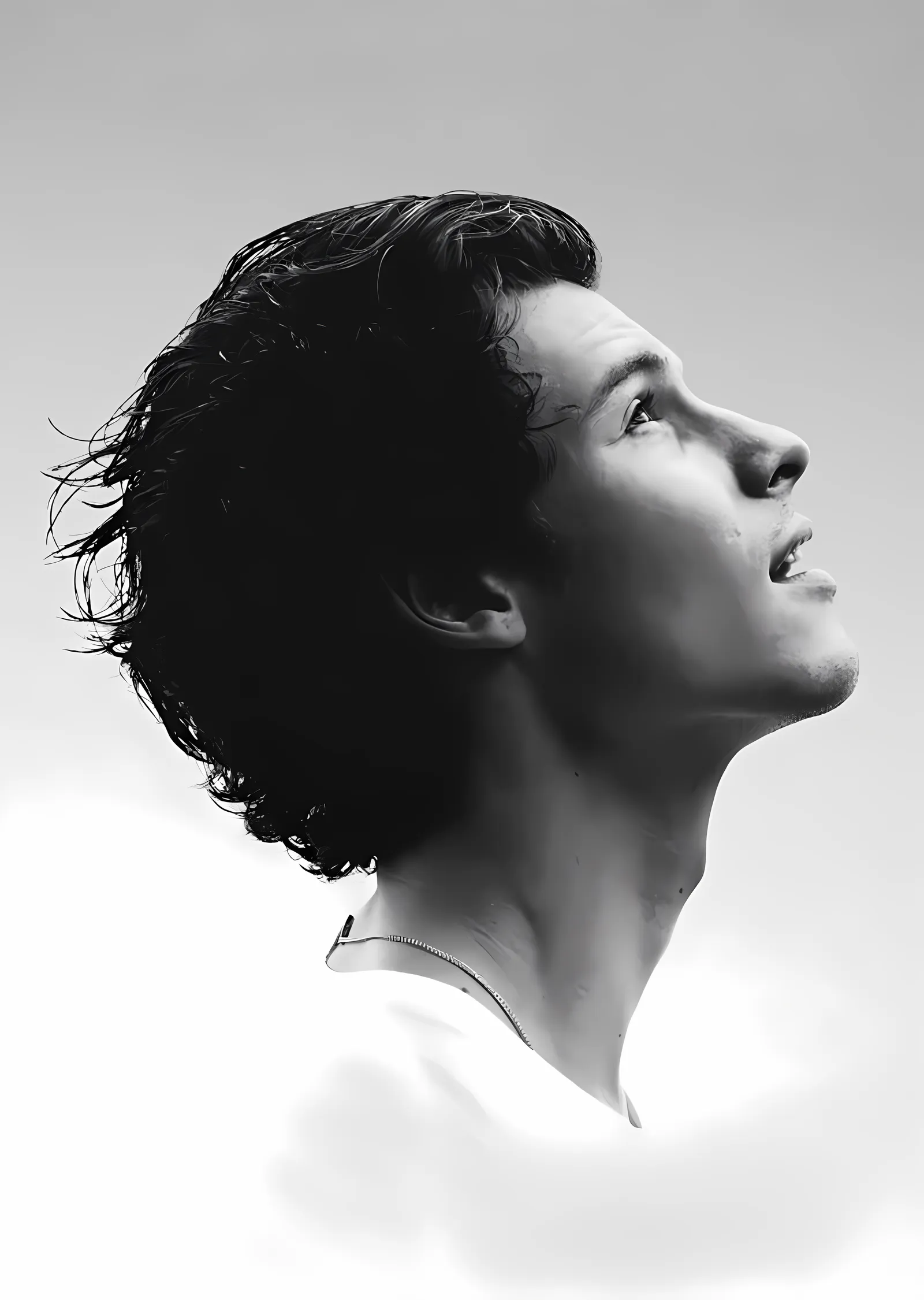 Shawn Mendes: Rüzgârda metal tablo