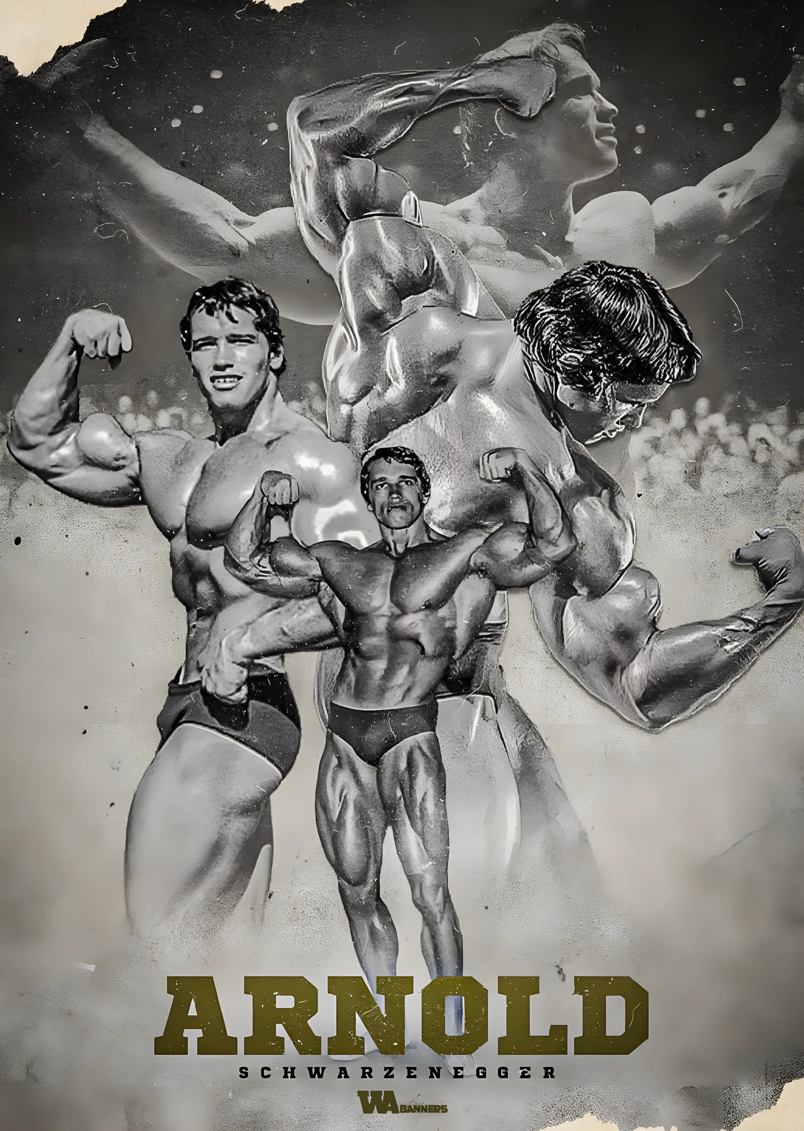 Arnold Schwarzenegger: Kariyer metal tablo