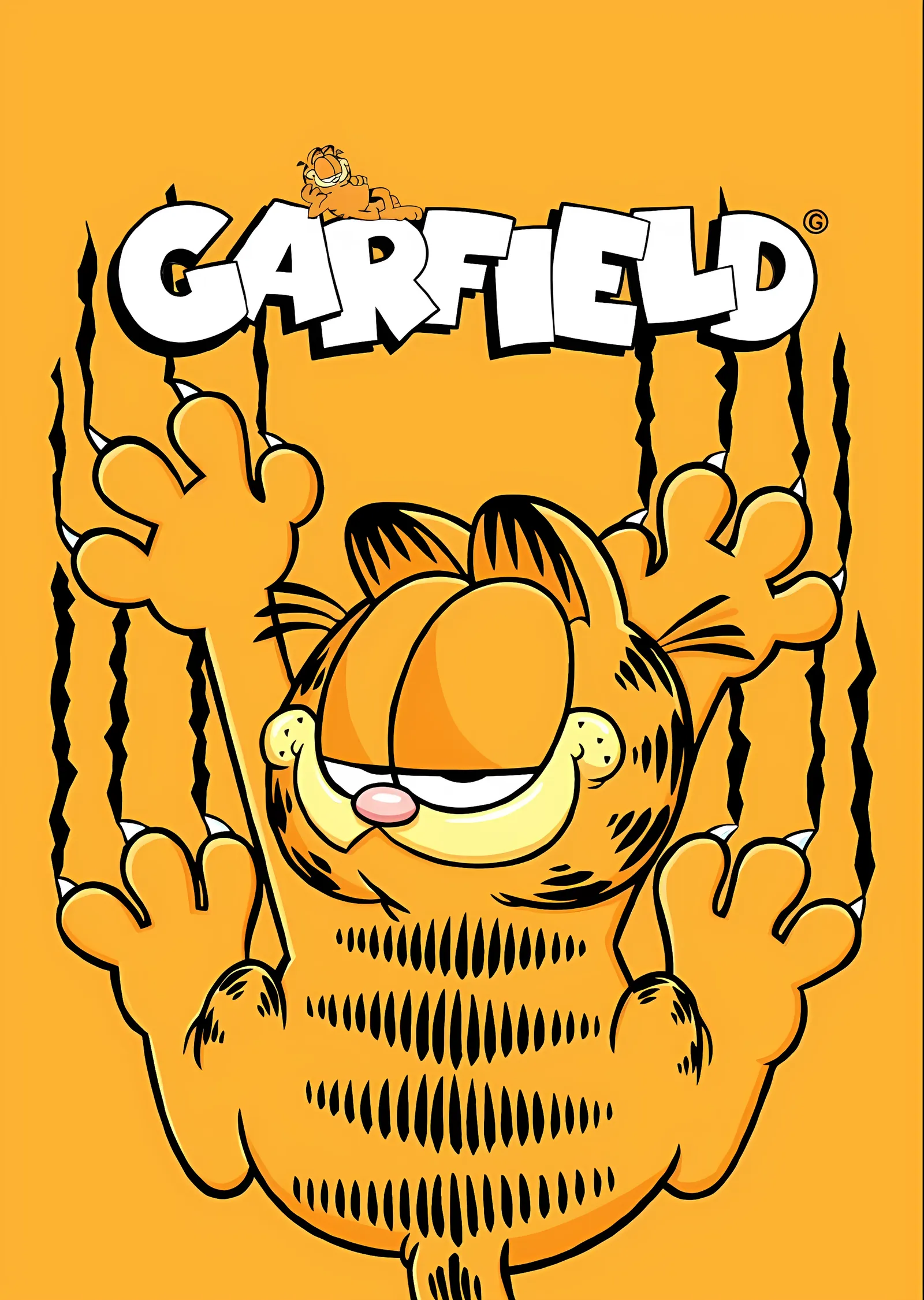 Garfield: Pençeler metal tablo