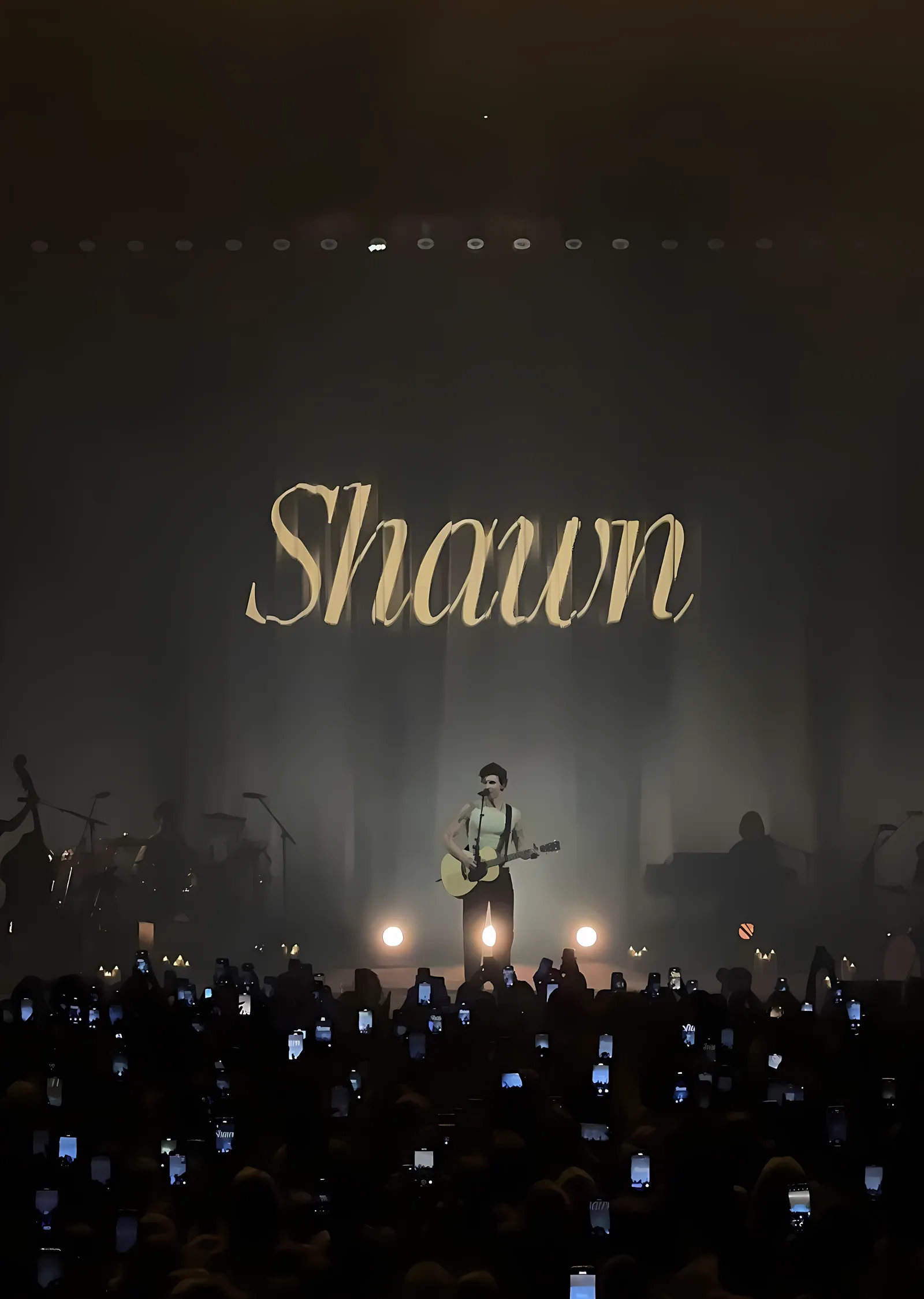 Shawn Mendes: Shawn Konseri metal tablo