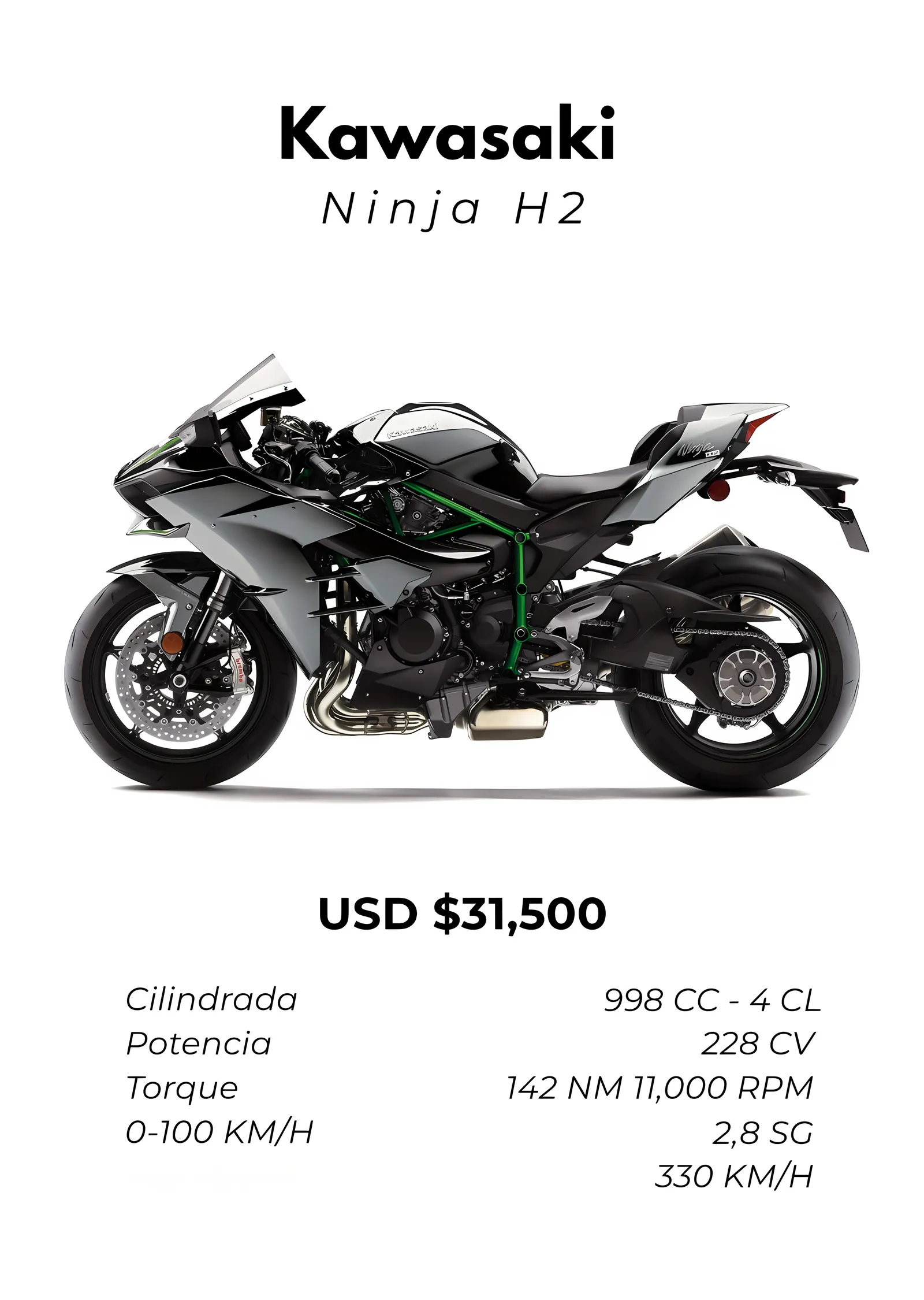 Kawasaki Ninja H2: Gümüş ve Teknik Föy metal tablo