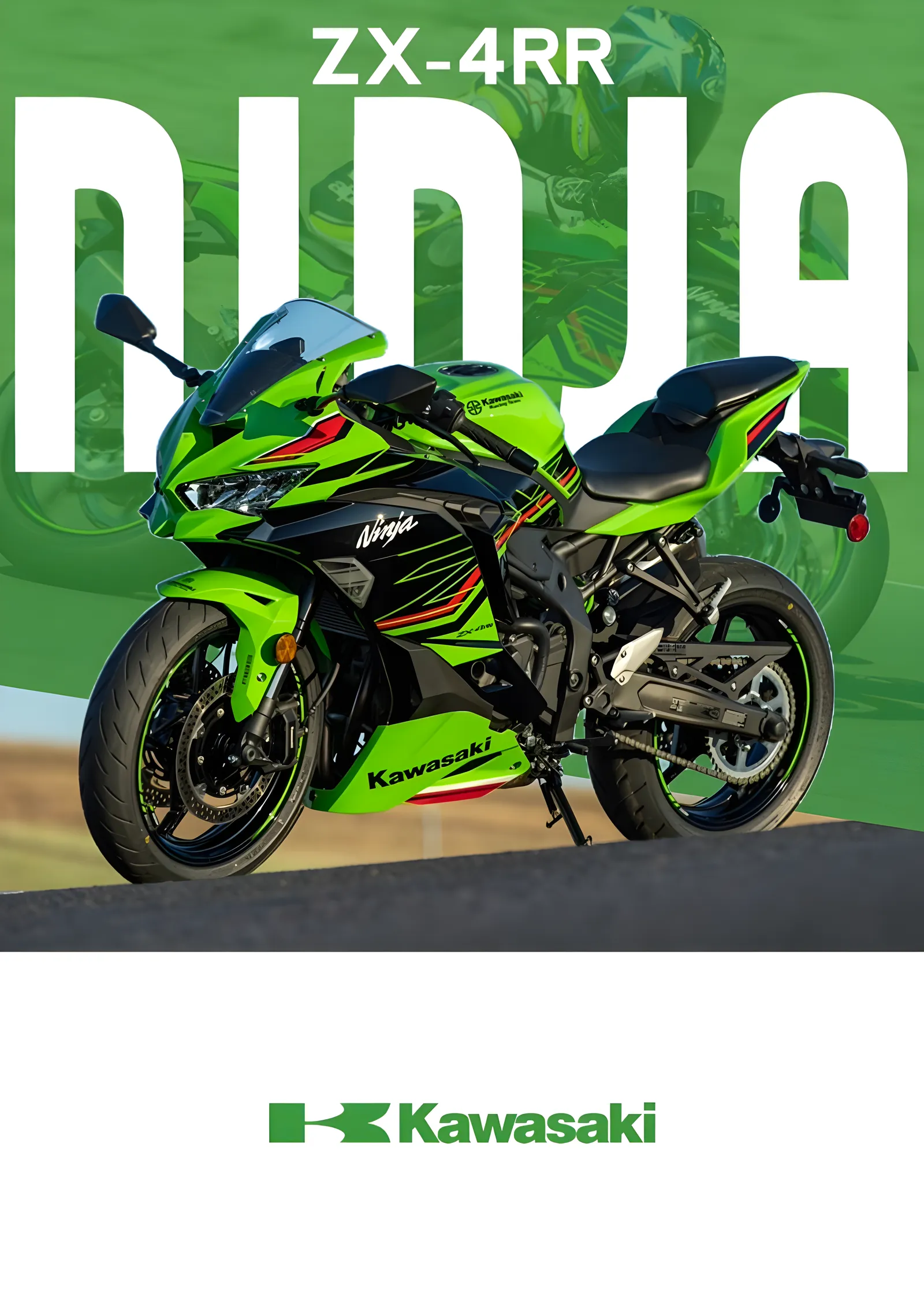 Kawasaki Ninja ZX-4RR metal tablo