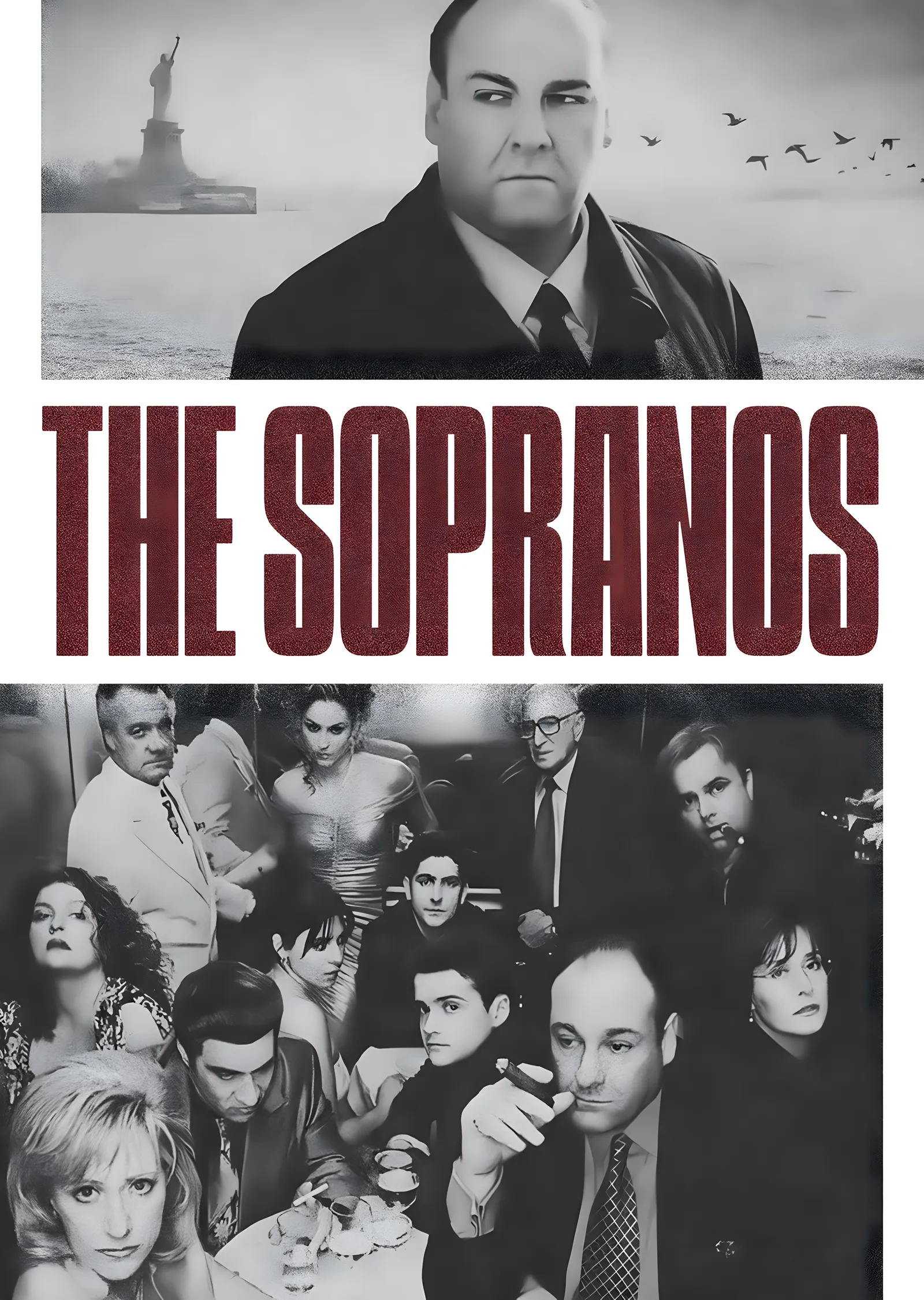 The Sopranos - Siyah Beyaz Desenli metal tablo