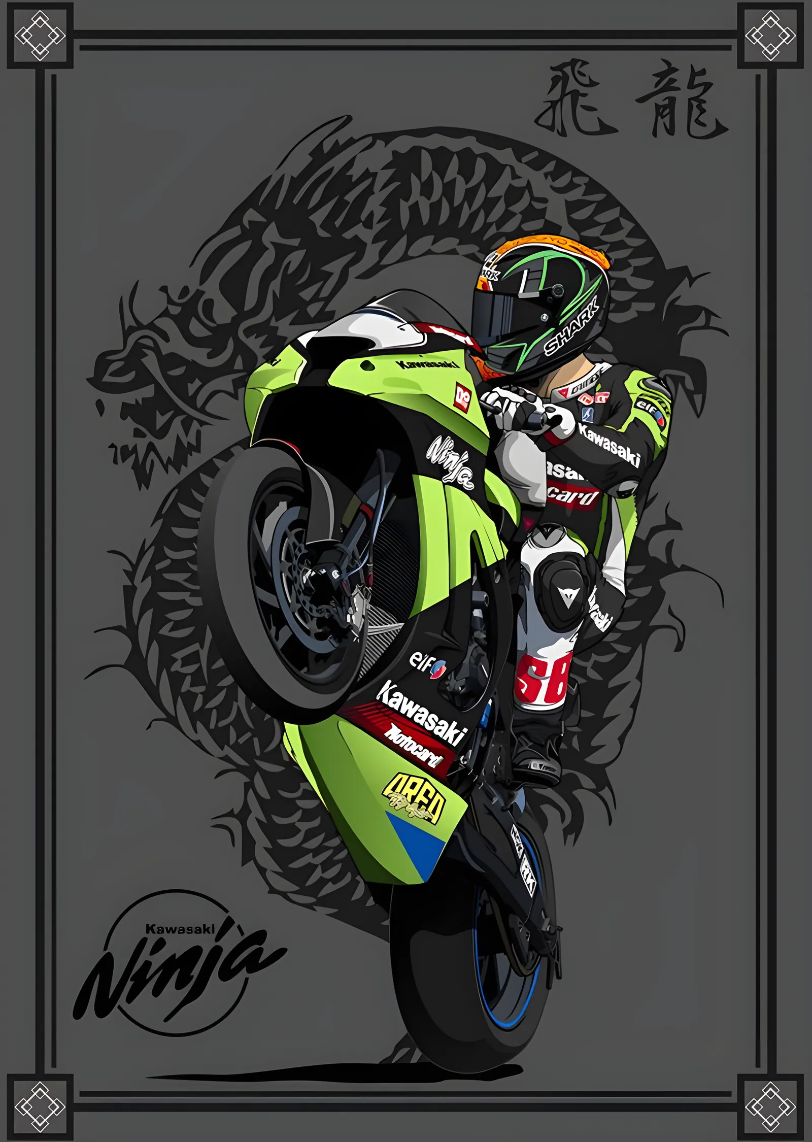 Kawasaki Ninja - Ejderha Deseni metal tablo