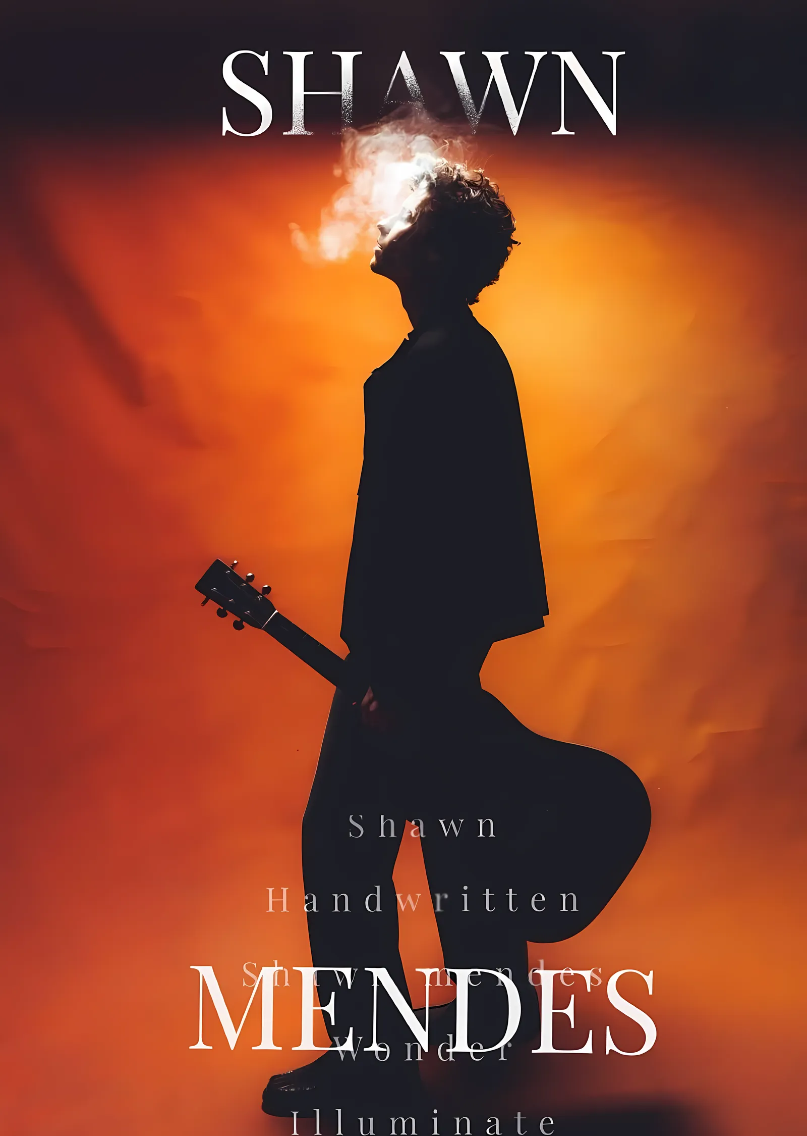 Shawn Mendes: Turuncu Siluet metal tablo