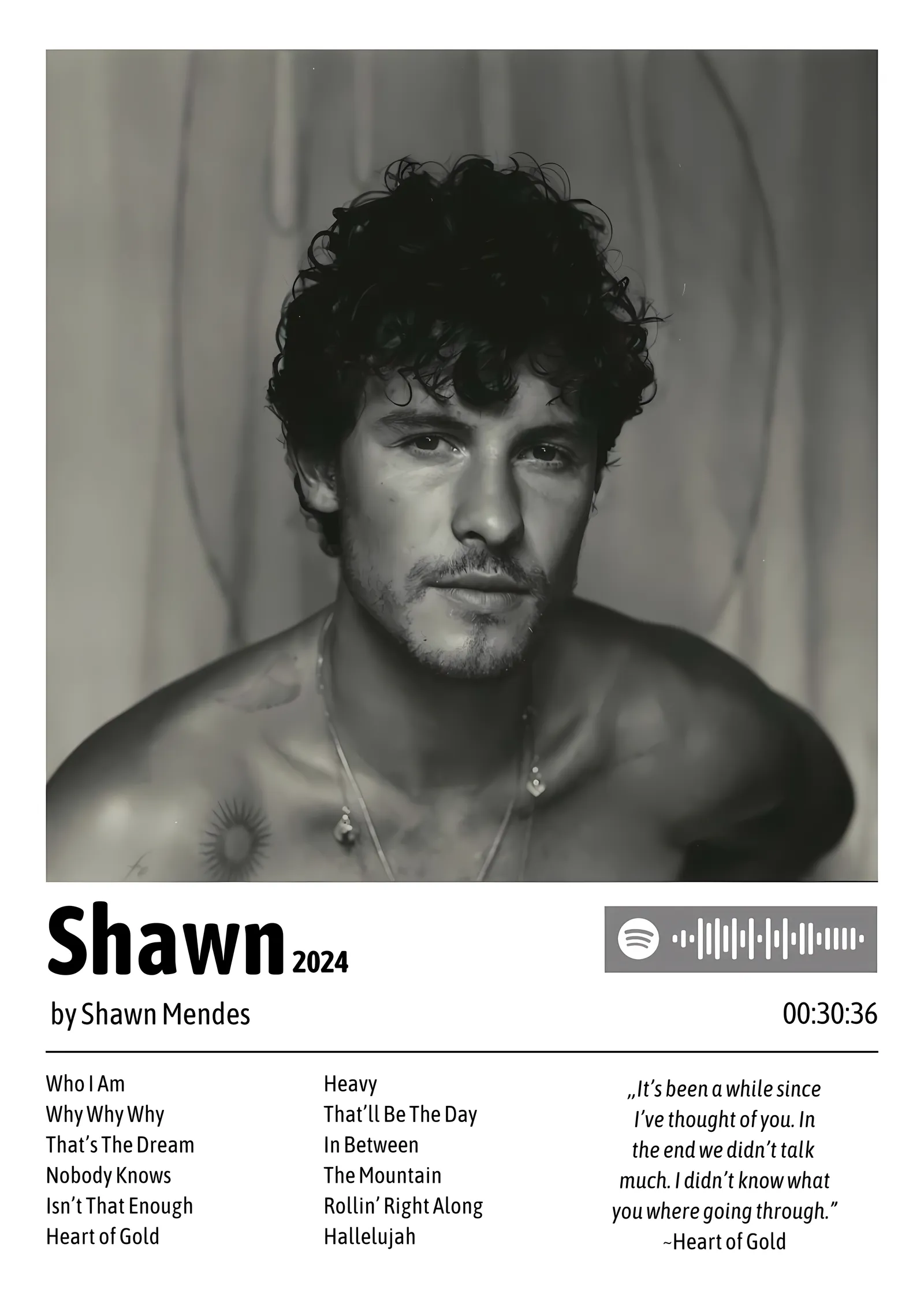 Shawn Mendes: Shawn Albümü metal tablo