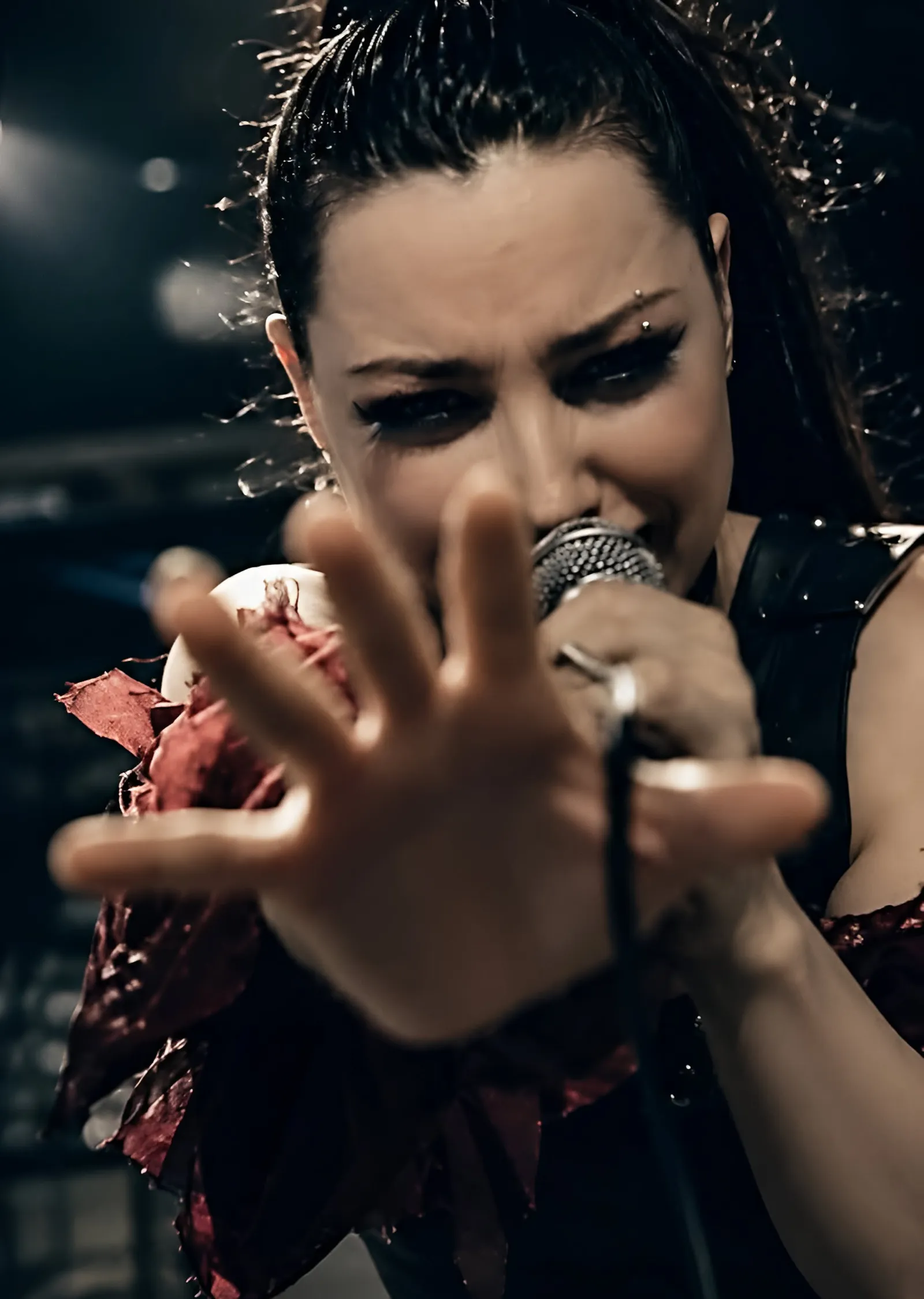 Amy Lee: Sahnede metal tablo