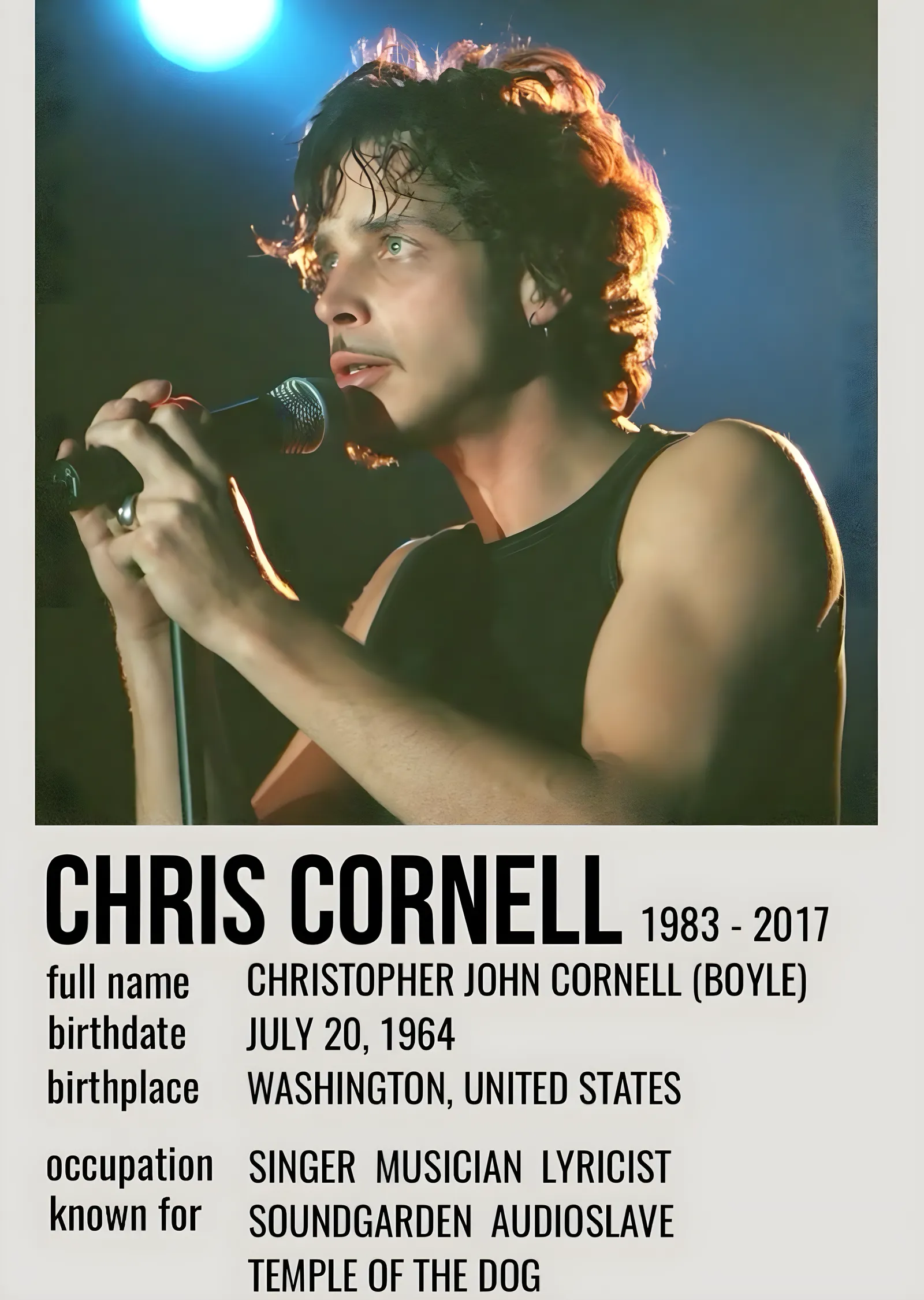 Chris Cornell: 1983 - 2017 metal tablo