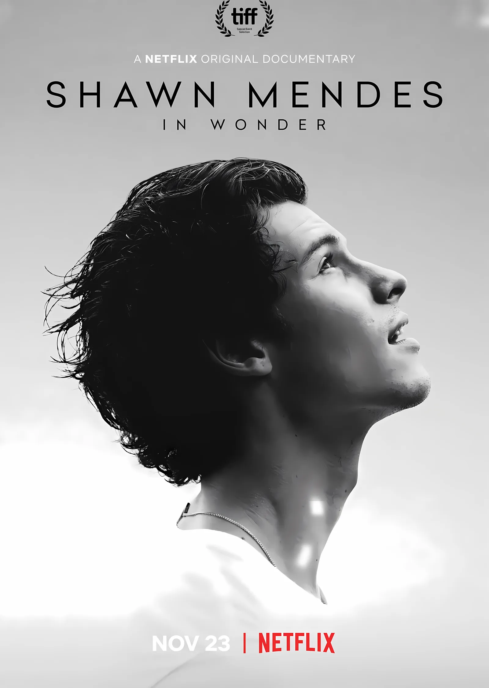 Shawn Mendes: In Wonder metal tablo